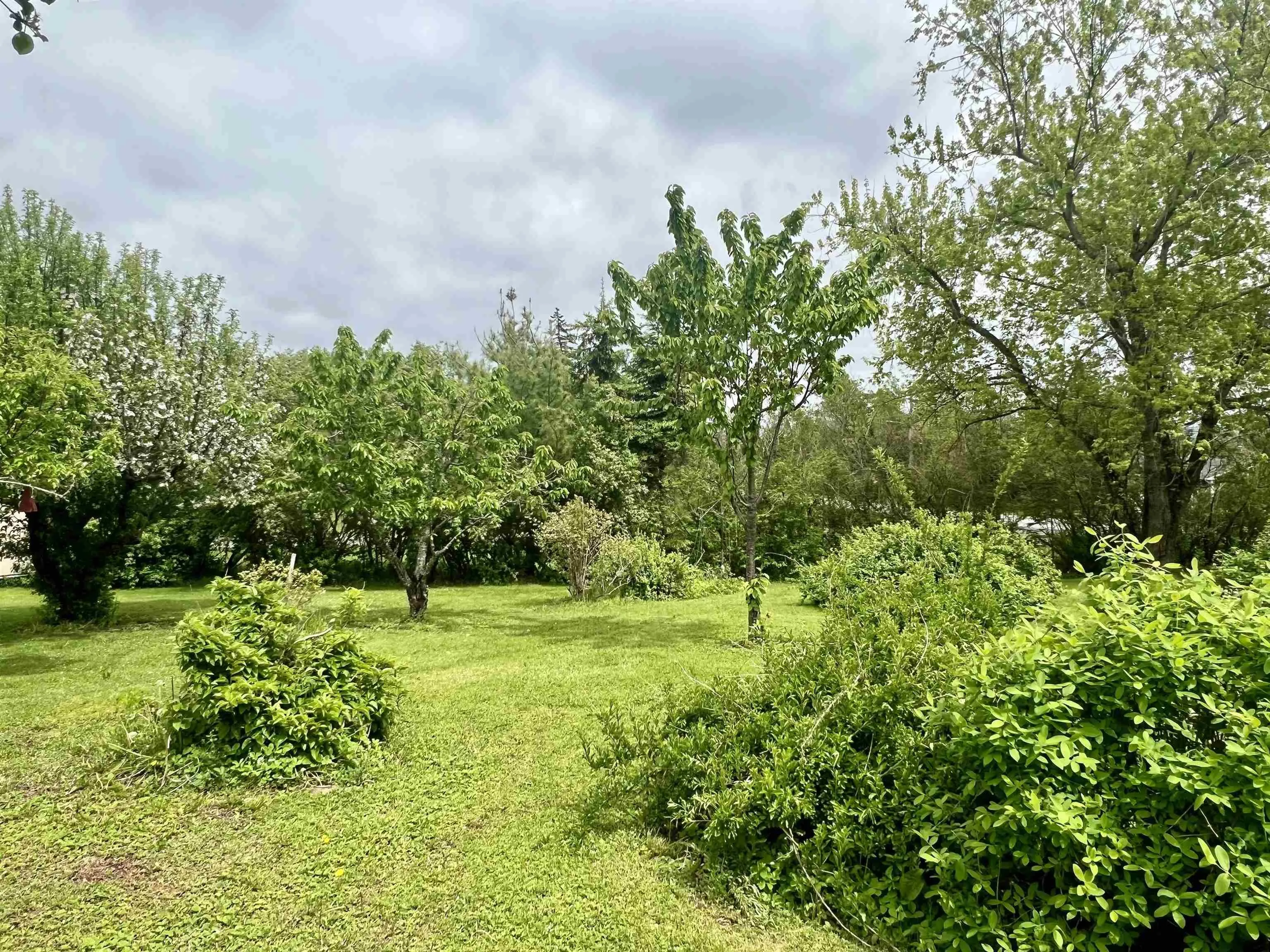 1951 Frasers Mountain Road, Frasers Mountain, NS B2H 5C4, 3 Bedrooms Bedrooms, ,2 BathroomsBathrooms,Residential,For Sale,Frasers Mountain,202511513