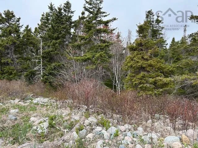 Cabot Trail, Indian Brook, NS B0E 1B0, ,Land,For Sale,Cabot,202511426