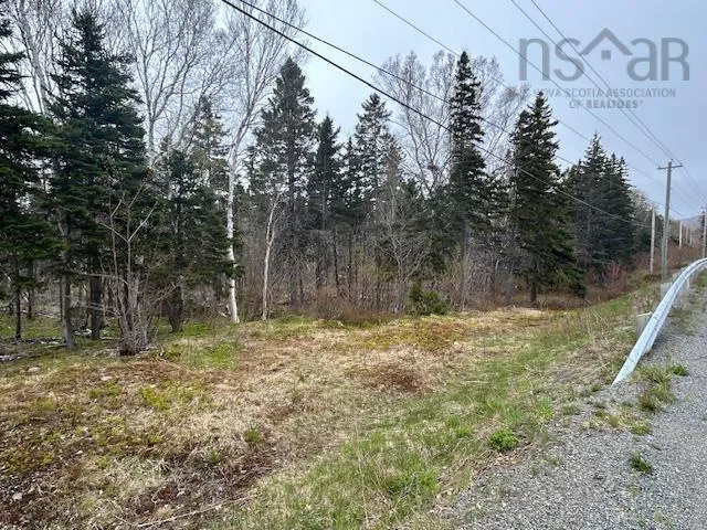 Cabot Trail, Indian Brook, NS B0E 1B0, ,Land,For Sale,Cabot,202511426
