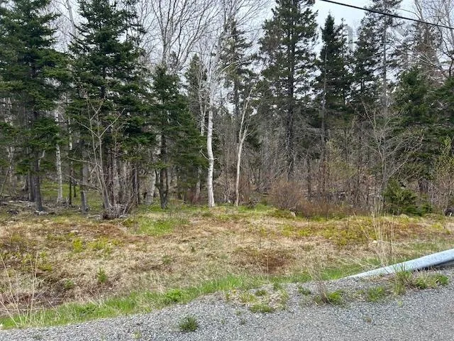Cabot Trail, Indian Brook, NS B0E 1B0, ,Land,For Sale,Cabot,202511426