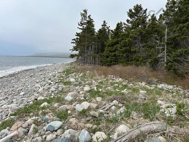 Cabot Trail, Indian Brook, NS B0E 1B0, ,Land,For Sale,Cabot,202511426