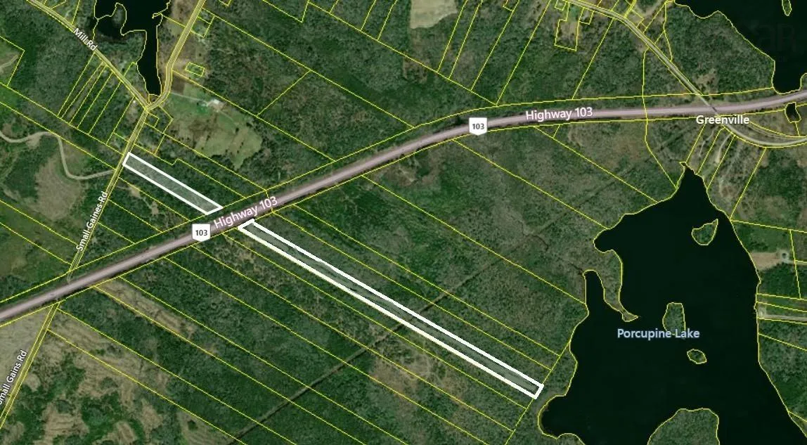 Small Gains Road, Brooklyn Ns B5a 5j1, ,Land,For Sale,Small Gains,202324197