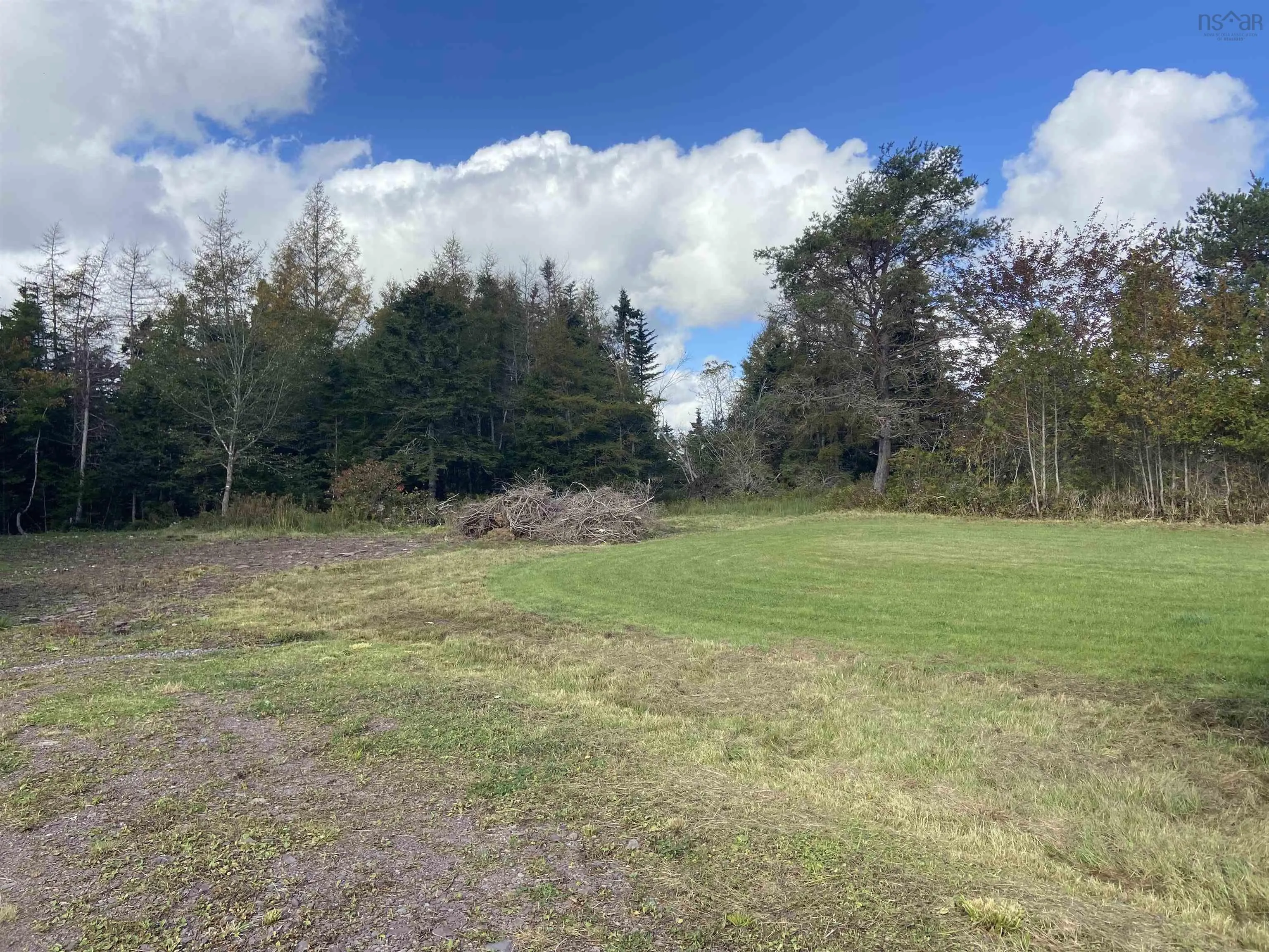 Lot Highway 320, Louisdale, NS B0E 1V0, ,Land,For Sale,Highway 320,202523059