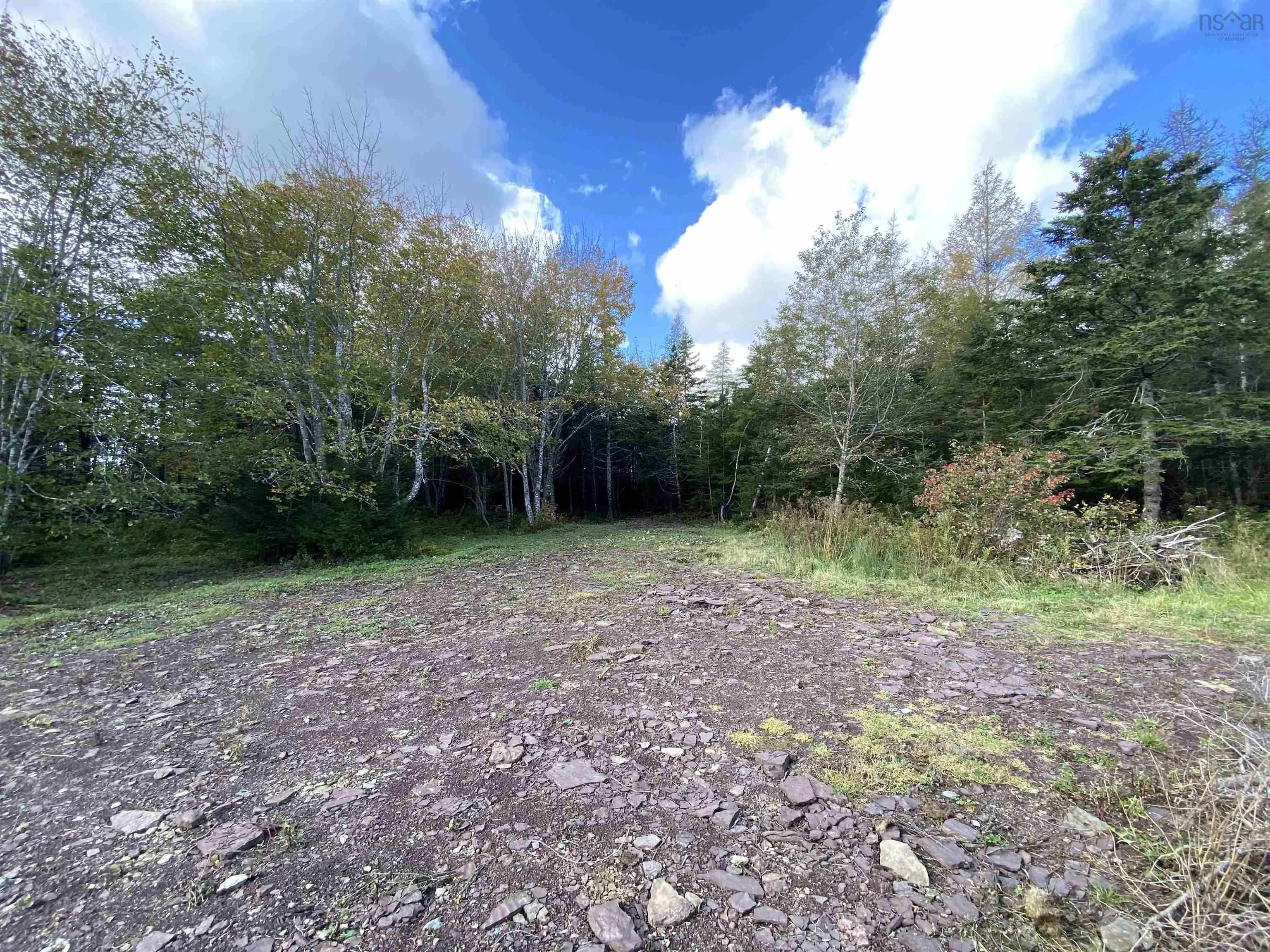 Lot Highway 320, Louisdale, NS B0E 1V0, ,Land,For Sale,Highway 320,202523059