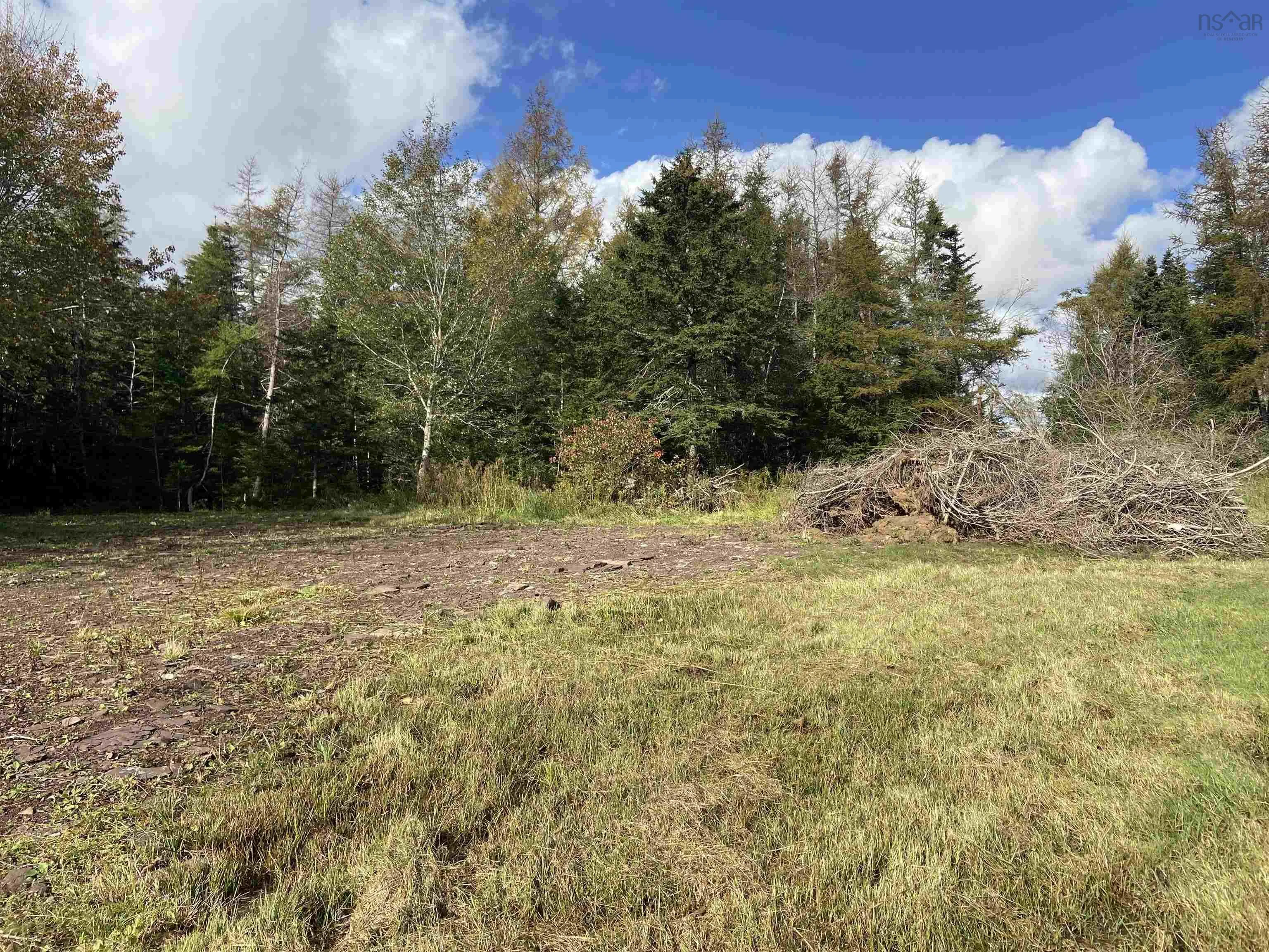 Lot Highway 320, Louisdale, NS B0E 1V0, ,Land,For Sale,Highway 320,202523059