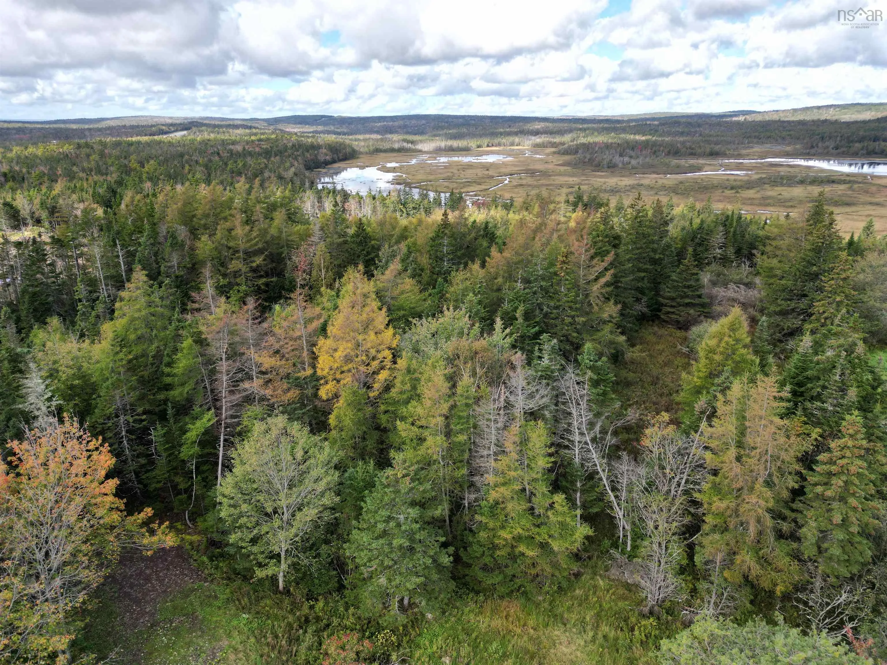 Lot Highway 320, Louisdale, NS B0E 1V0, ,Land,For Sale,Highway 320,202523059