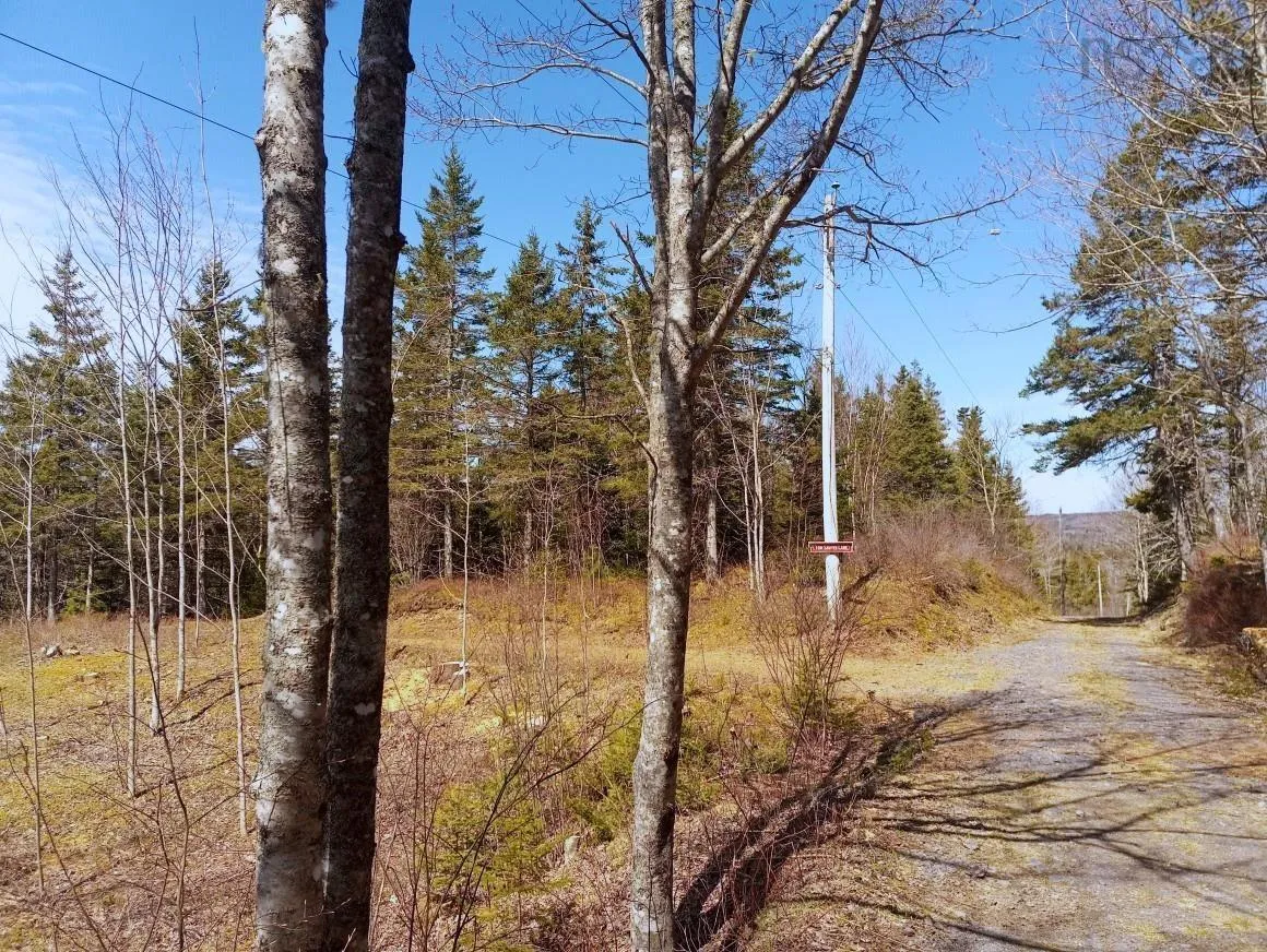 Jonny Cash Lane, Juniper Mountain Ns B1k 0c2, ,Land,For Sale,Johnny Cash Lane,202510133
