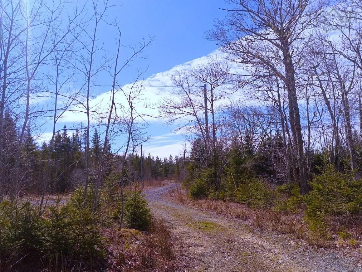 Jonny Cash Lane, Juniper Mountain Ns B1k 0c2, ,Land,For Sale,Johnny Cash Lane,202510133
