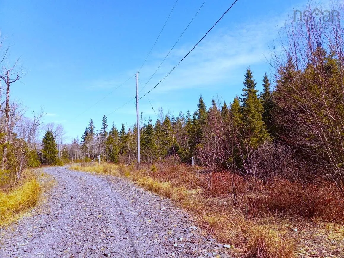 Jonny Cash Lane, Juniper Mountain Ns B1k 0c2, ,Land,For Sale,Johnny Cash Lane,202510133