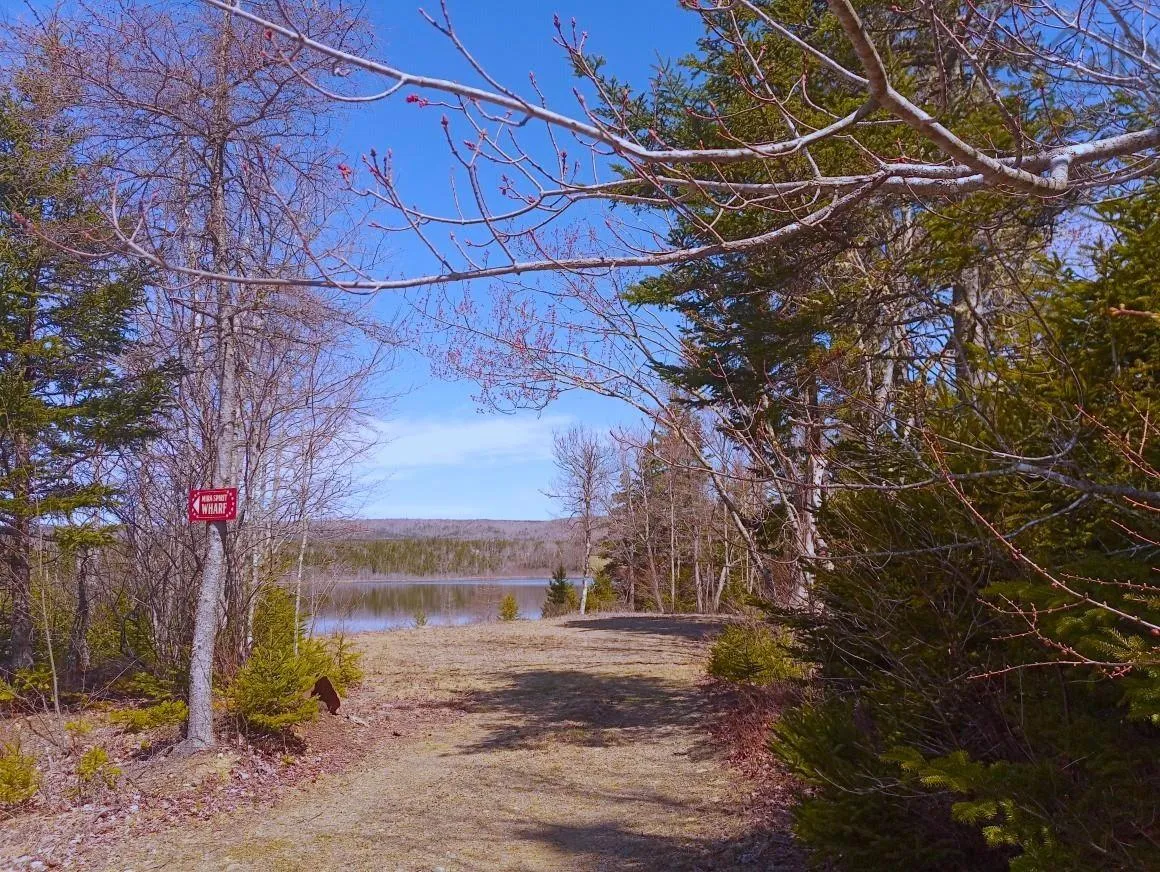 Jonny Cash Lane, Juniper Mountain Ns B1k 0c2, ,Land,For Sale,Johnny Cash Lane,202510133