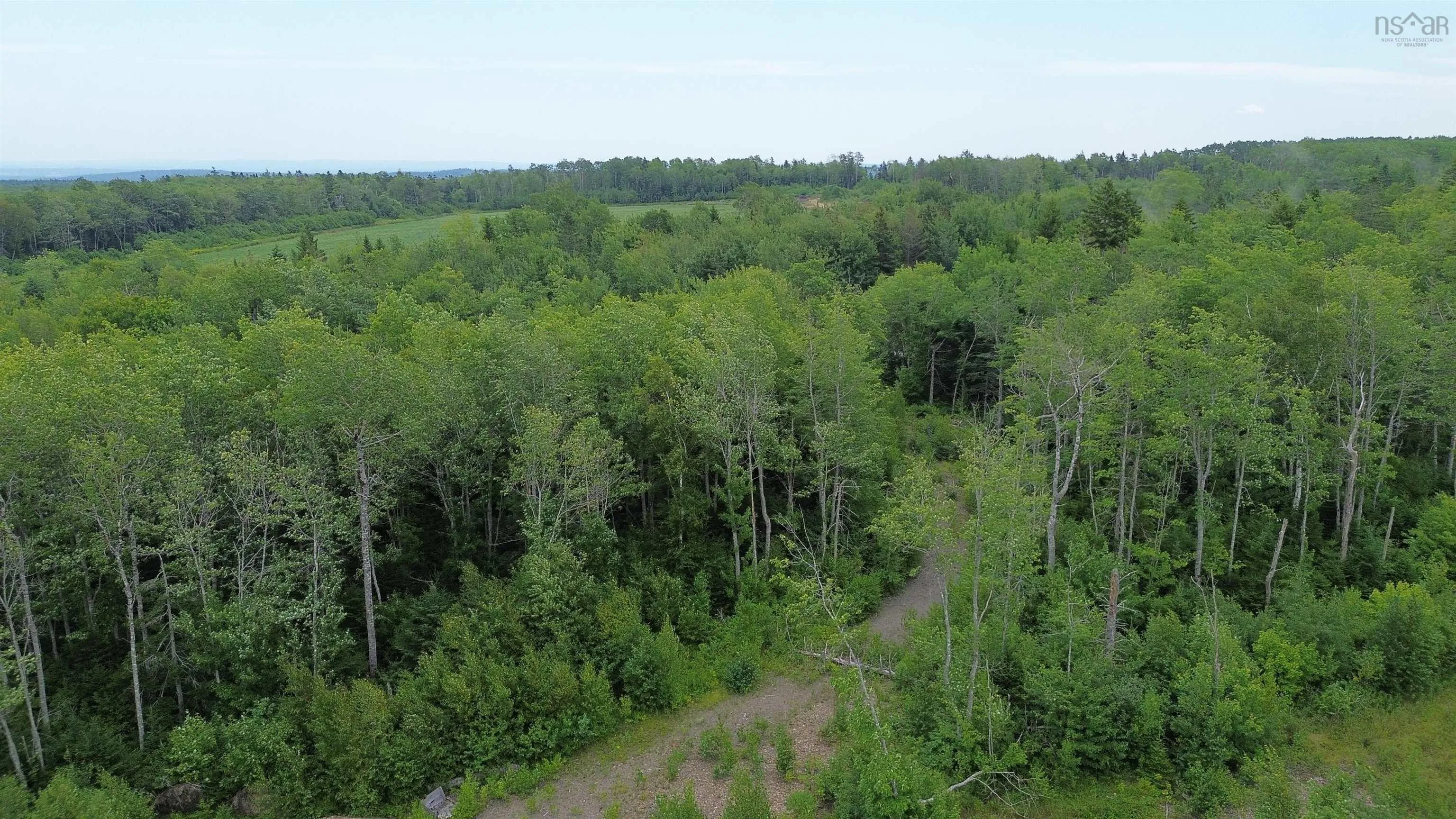 Peck Meadow Road Lot 7, Greenfield, NS B4P 2R1, ,Land,For Sale,Peck Meadow,202519081