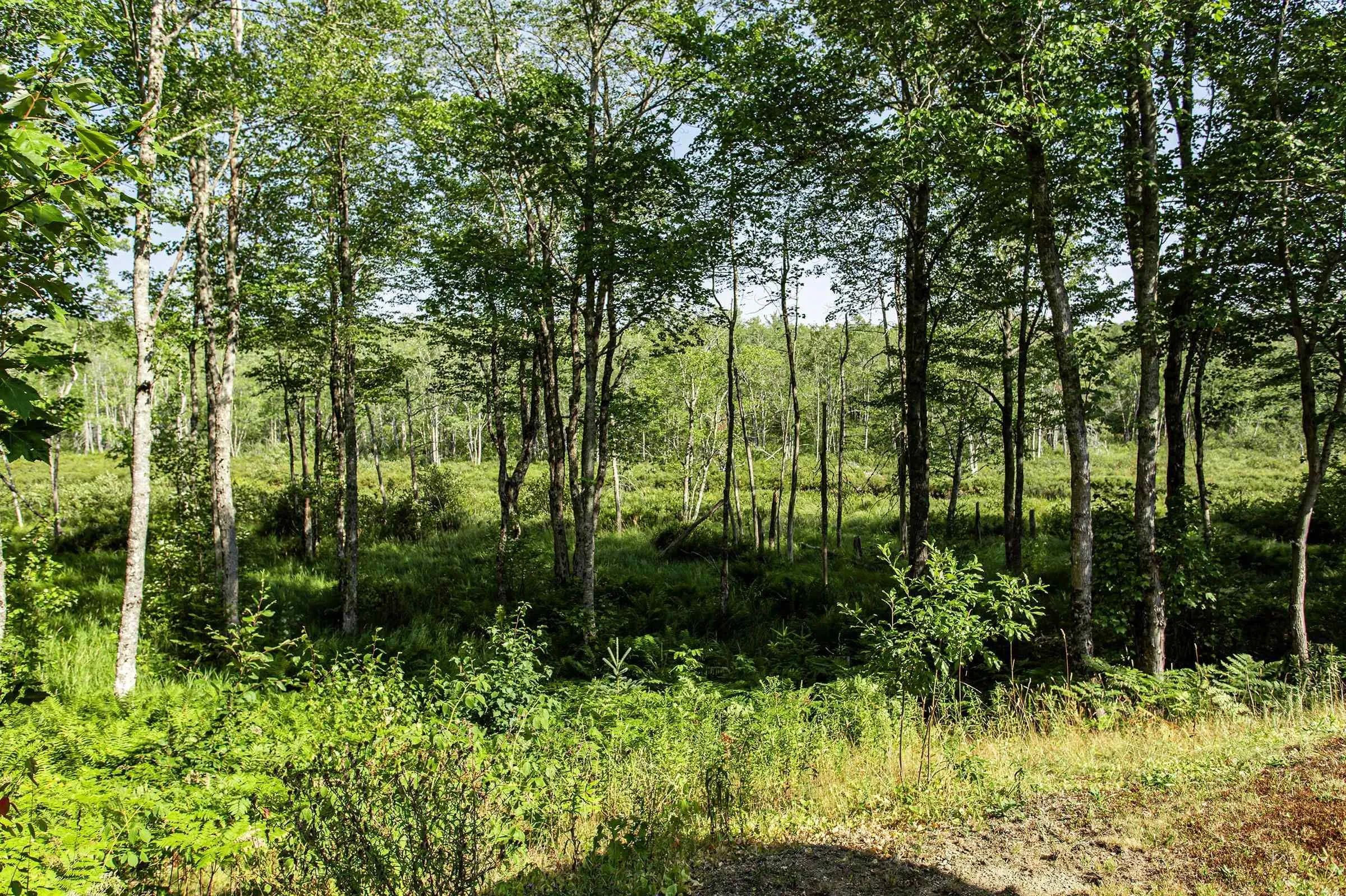 5052 Clementsvale Road, Princedale, NS B0S 1G0, 3 Bedrooms Bedrooms, ,1 BathroomBathrooms,Residential,For Sale,Clementsvale,202520338