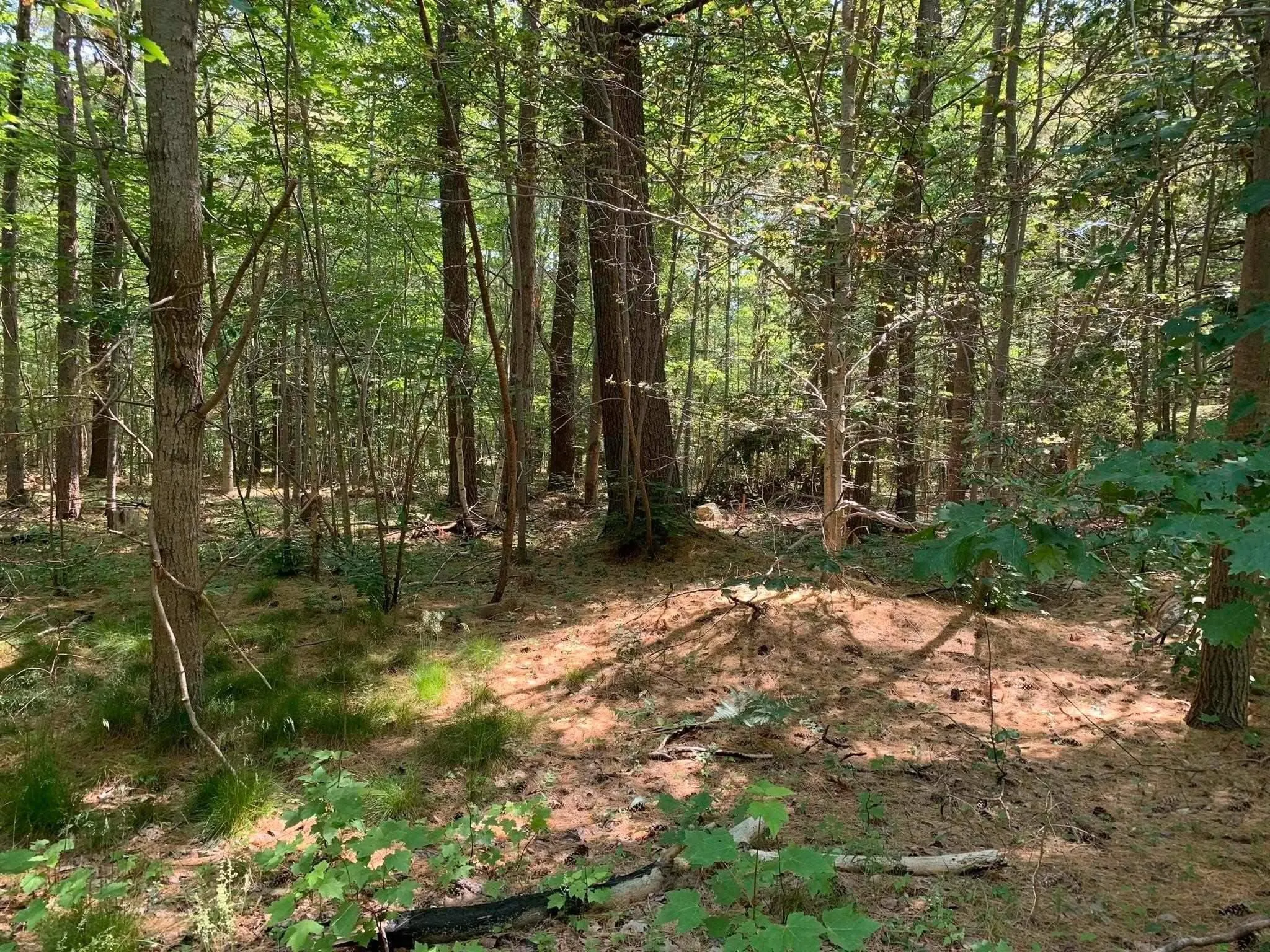 4059 1 Highway, South Berwick, NS B0P 1E0, 3 Bedrooms Bedrooms, ,2 BathroomsBathrooms,Residential,For Sale,1,202520798
