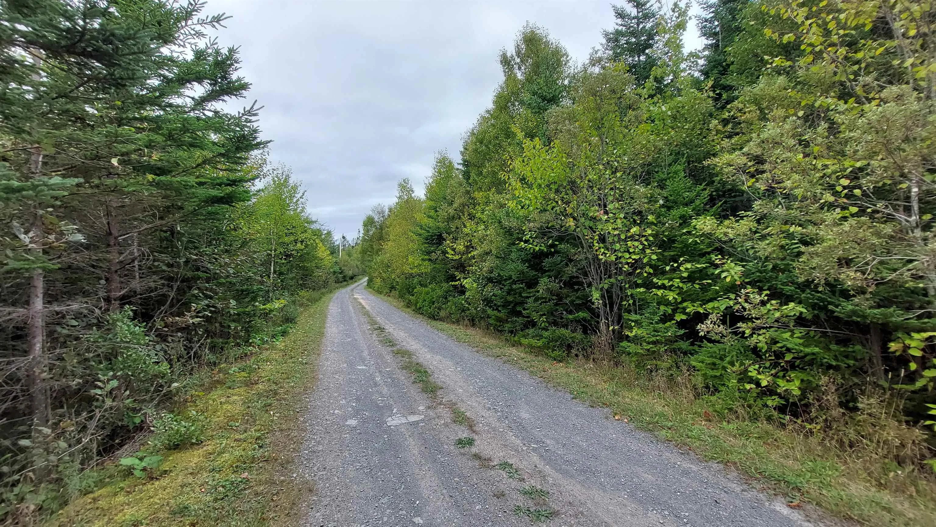 Lot 18 Torus Dr, Macnabs Cove, NS B0E 3B0, ,Land,For Sale,Torus Dr,202516725
