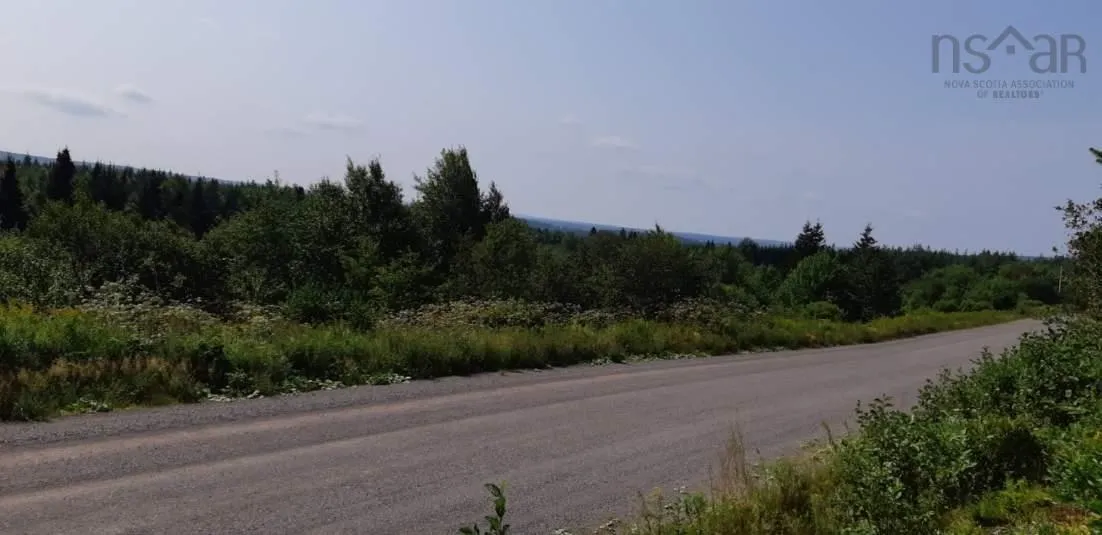 Lot Salem Road, Enon Ns B1j 1w1, ,Land,For Sale,Salem,202203650