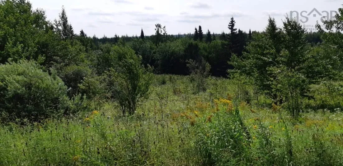 Lot Salem Road, Enon Ns B1j 1w1, ,Land,For Sale,Salem,202203650