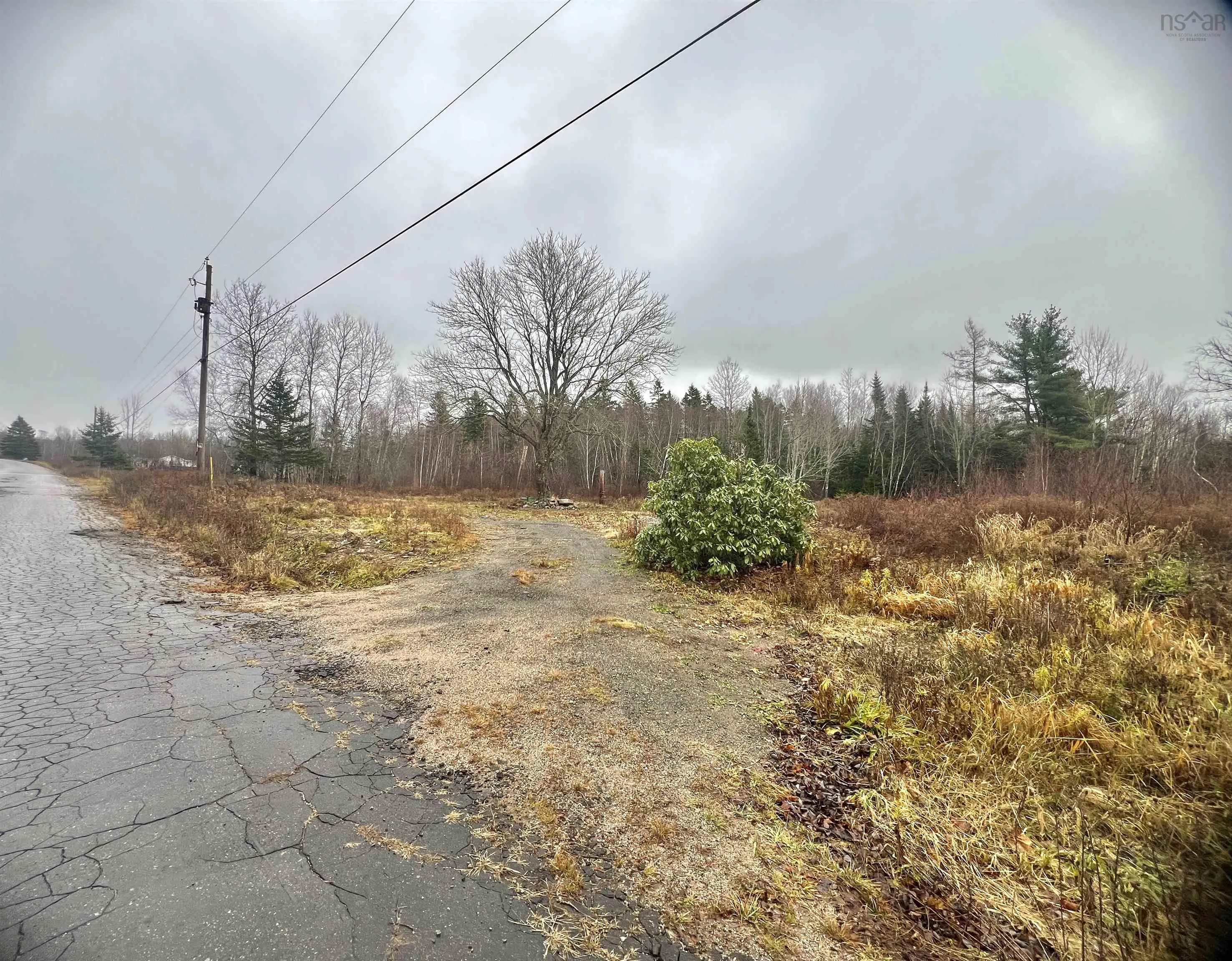 1224 Peck Meadow Road, Greenfield Ns B4p 2r1, ,Land,For Sale,Peck Meadow,202427479