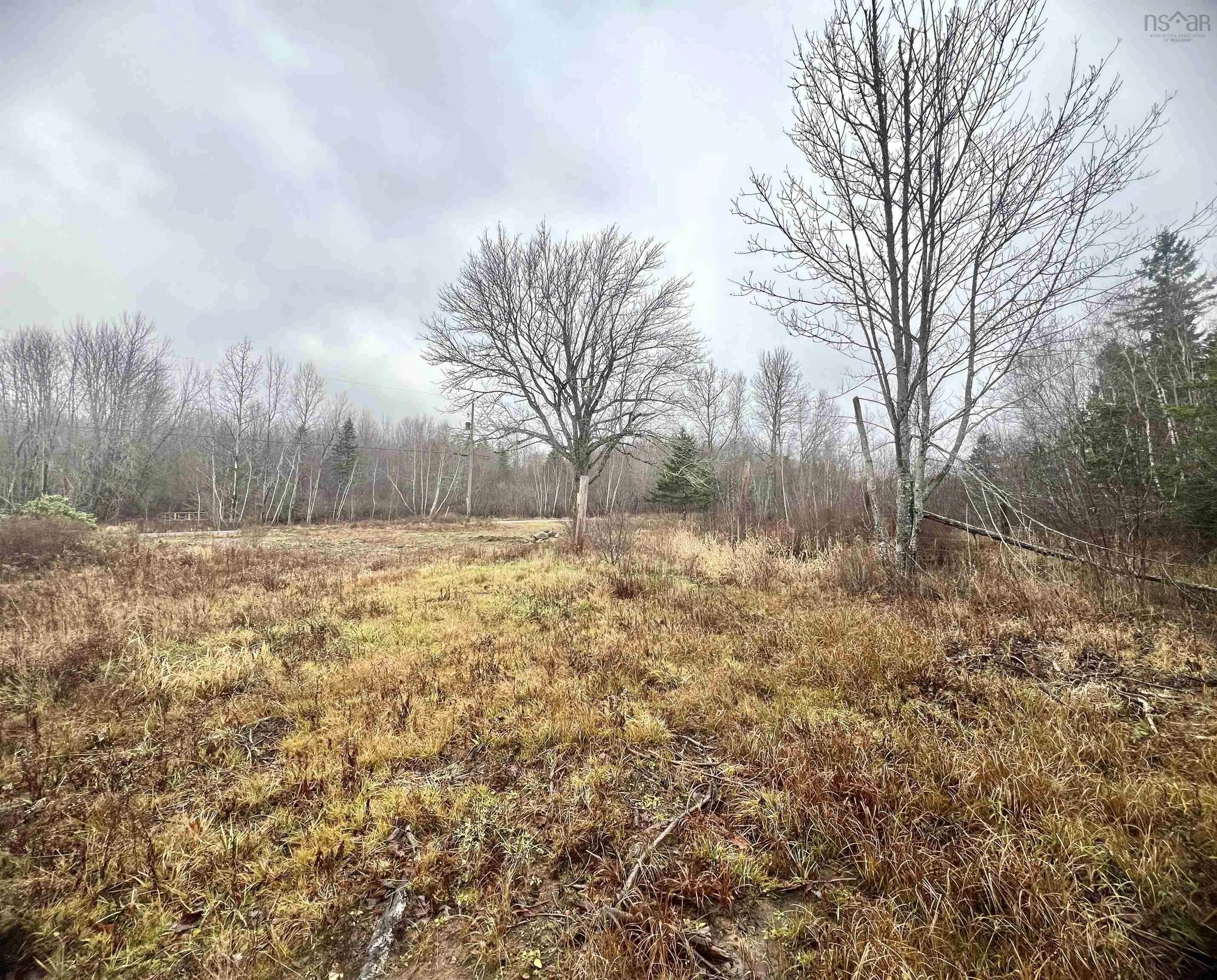 1224 Peck Meadow Road, Greenfield Ns B4p 2r1, ,Land,For Sale,Peck Meadow,202427479