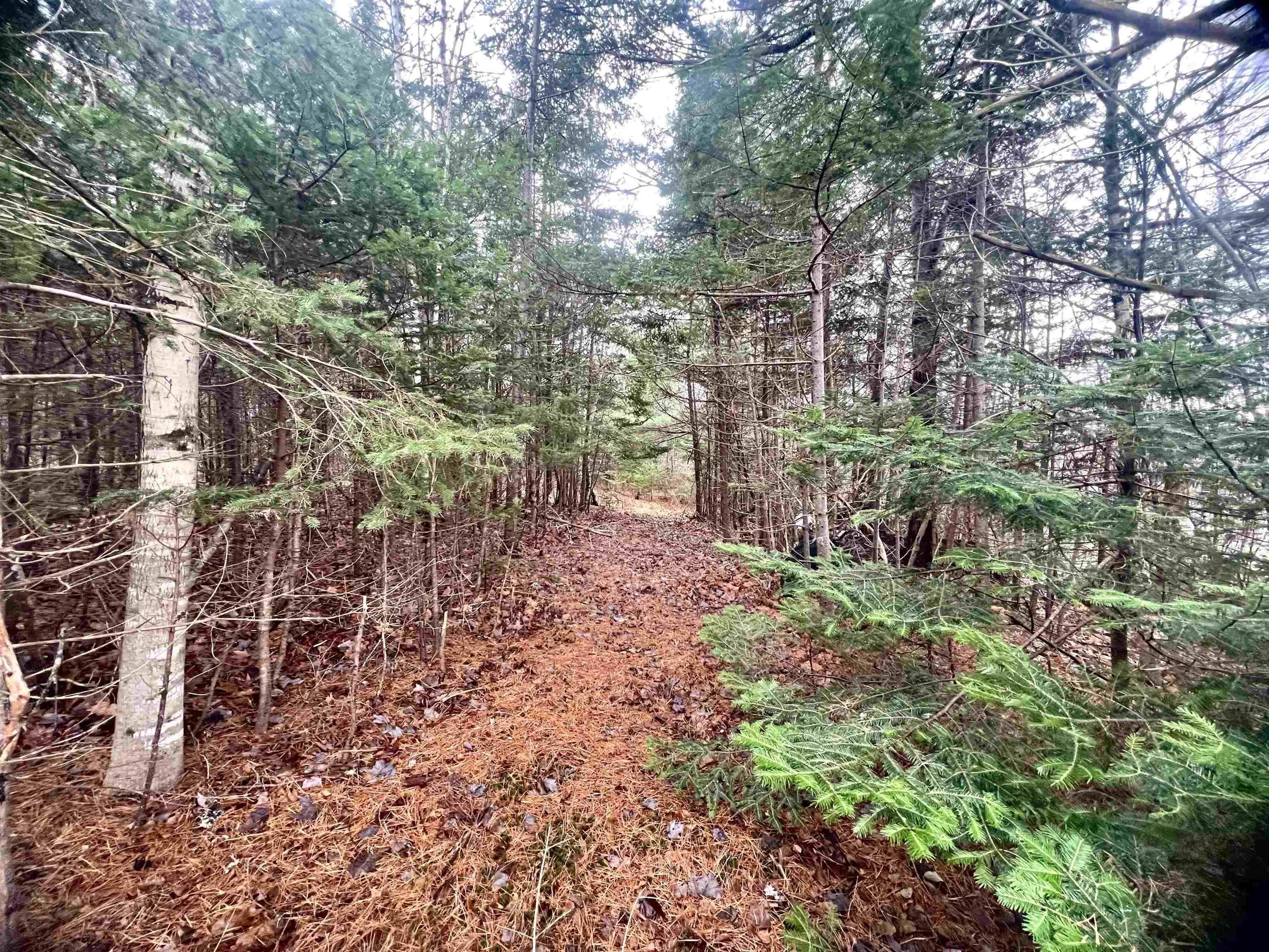 1224 Peck Meadow Road, Greenfield Ns B4p 2r1, ,Land,For Sale,Peck Meadow,202427479