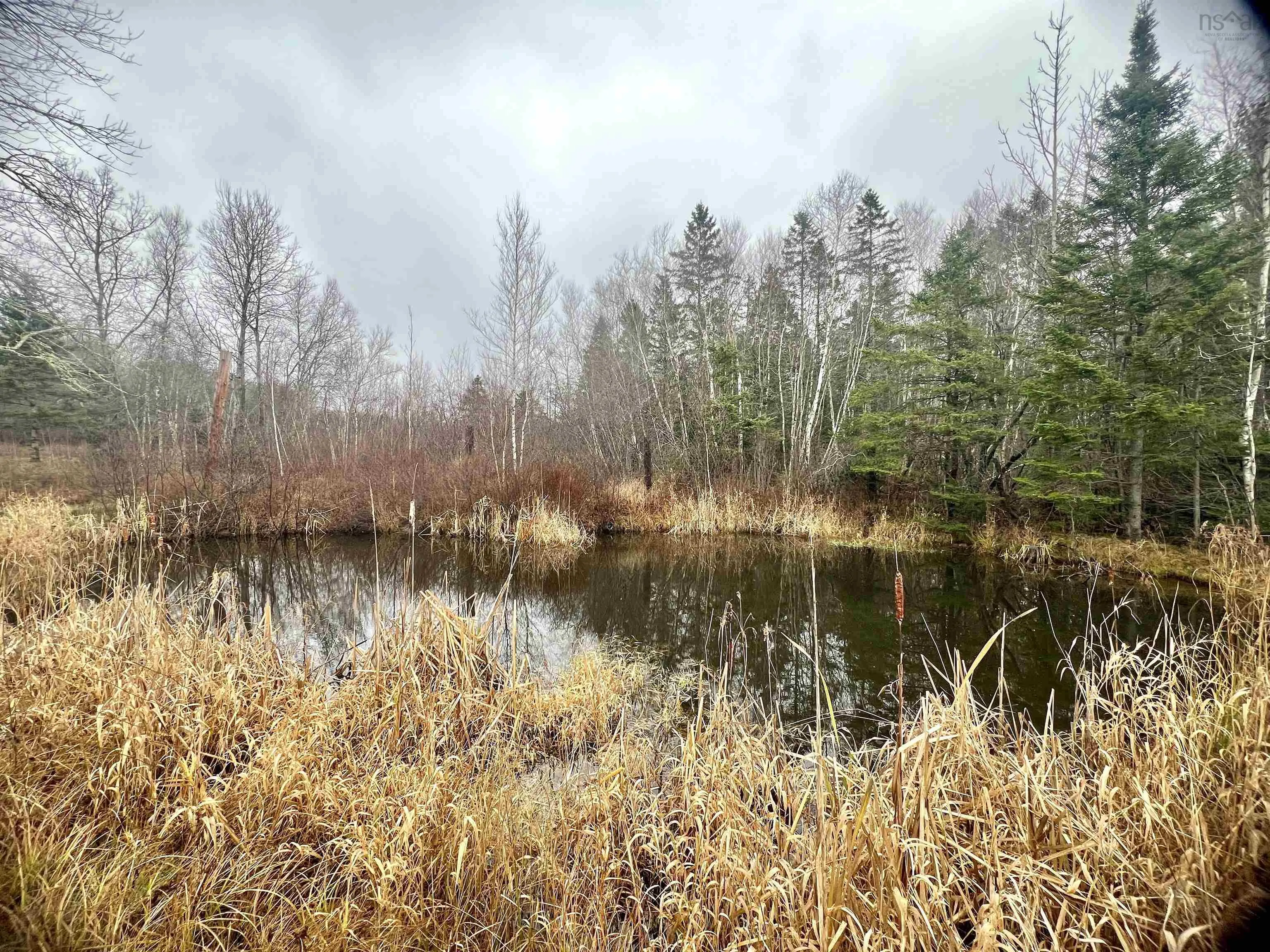 1224 Peck Meadow Road, Greenfield Ns B4p 2r1, ,Land,For Sale,Peck Meadow,202427479