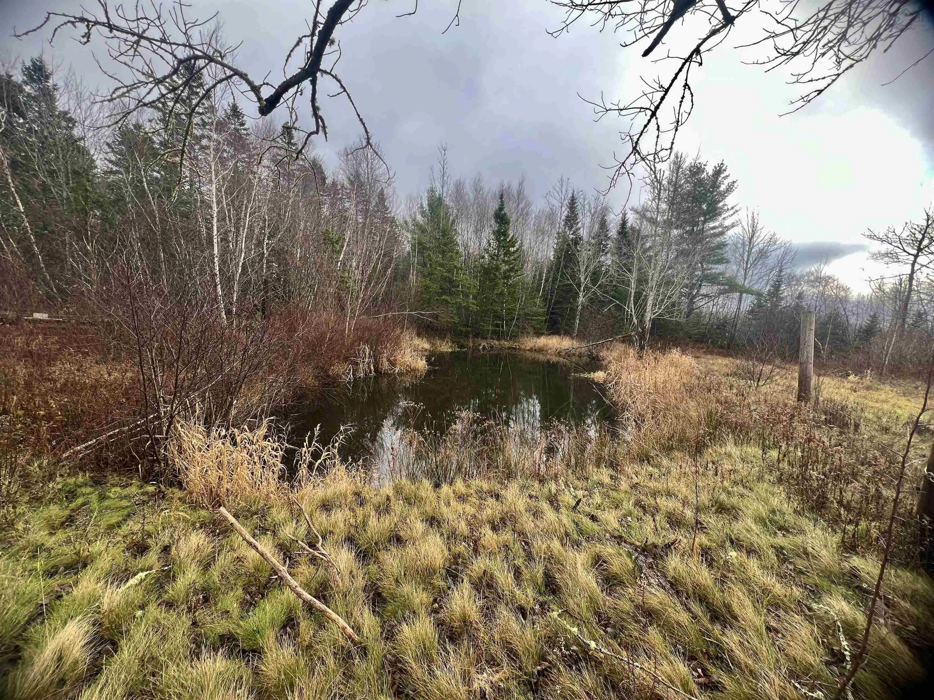 1224 Peck Meadow Road, Greenfield Ns B4p 2r1, ,Land,For Sale,Peck Meadow,202427479