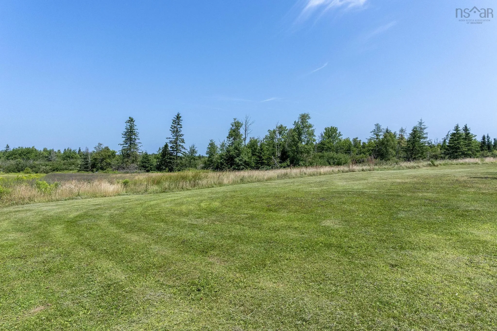 1059 Old Pictou Road, Riversdale, NS B6L 2L9, ,Land,For Sale,Old Pictou,202519205