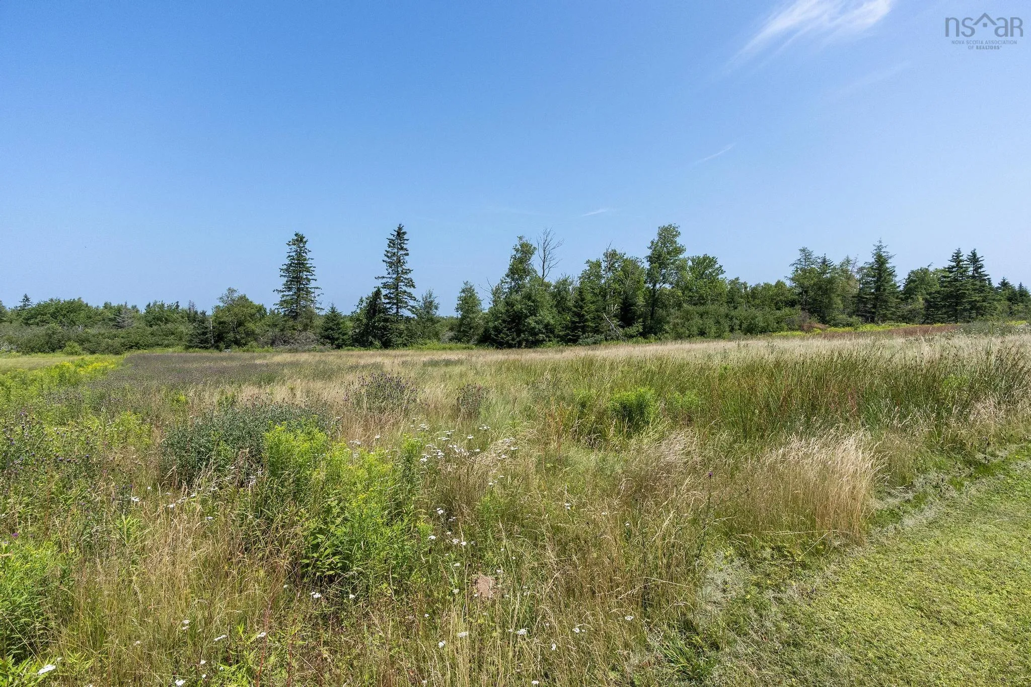 1059 Old Pictou Road, Riversdale, NS B6L 2L9, ,Land,For Sale,Old Pictou,202519205
