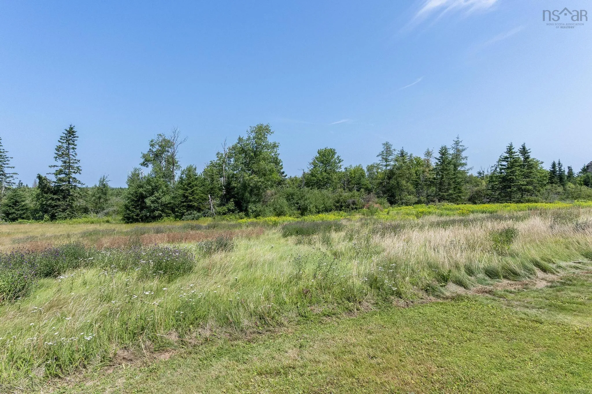 1059 Old Pictou Road, Riversdale, NS B6L 2L9, ,Land,For Sale,Old Pictou,202519205