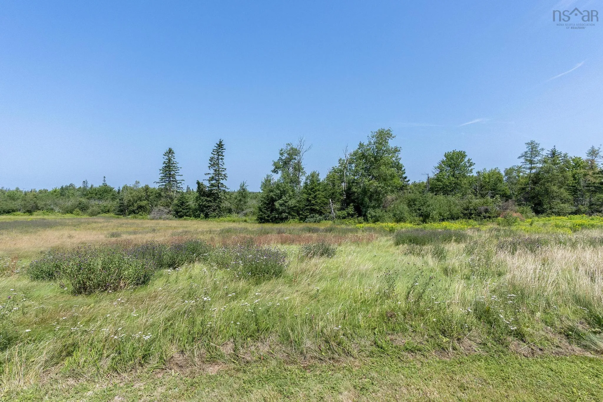 1059 Old Pictou Road, Riversdale, NS B6L 2L9, ,Land,For Sale,Old Pictou,202519205