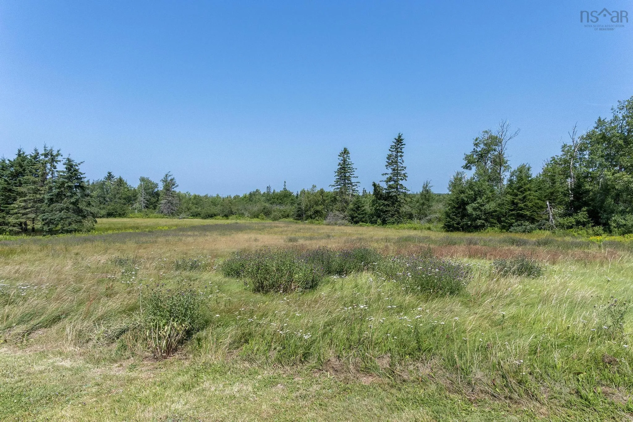 1059 Old Pictou Road, Riversdale, NS B6L 2L9, ,Land,For Sale,Old Pictou,202519205
