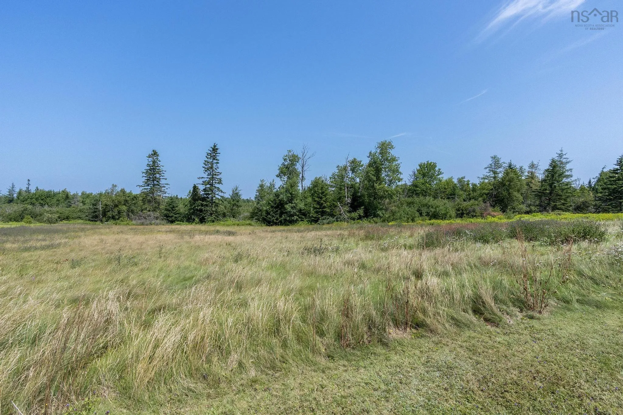 1059 Old Pictou Road, Riversdale, NS B6L 2L9, ,Land,For Sale,Old Pictou,202519205