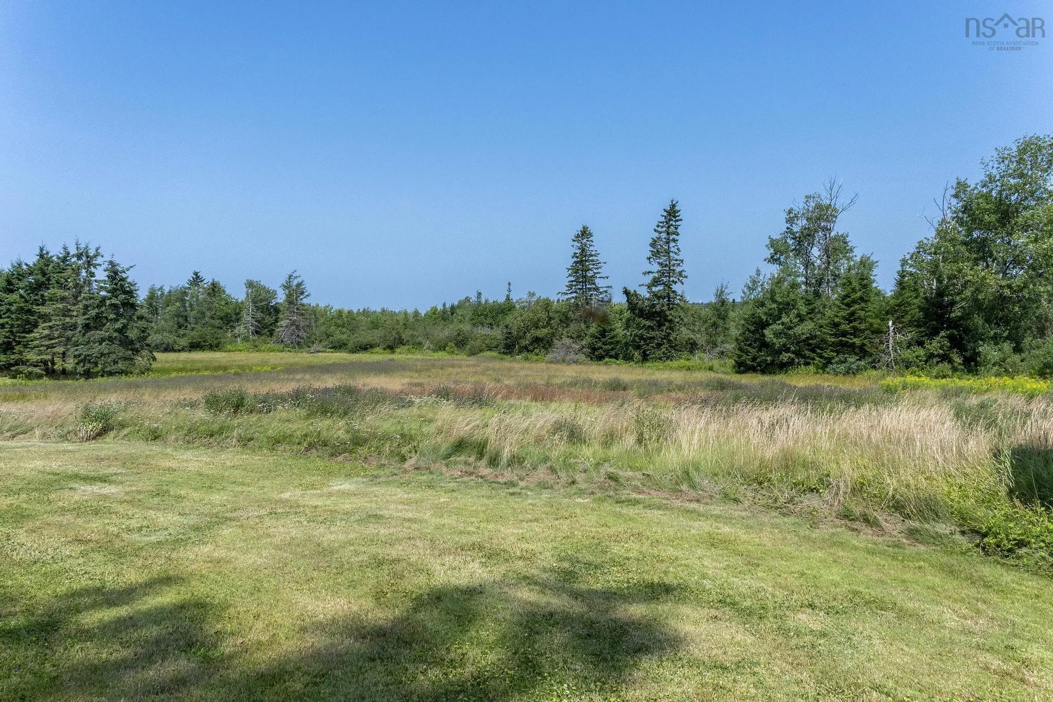 1059 Old Pictou Road, Riversdale, NS B6L 2L9, ,Land,For Sale,Old Pictou,202519205