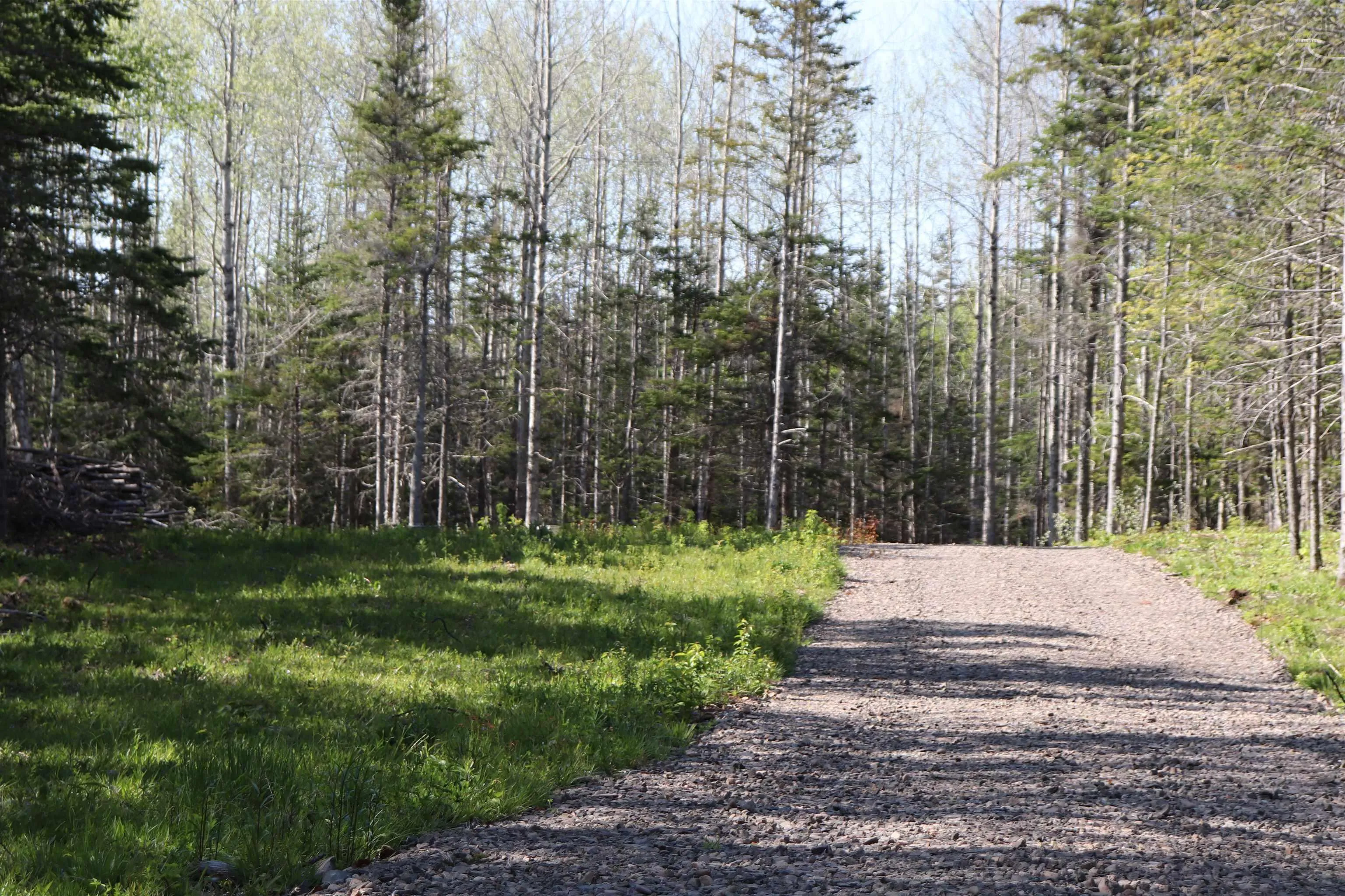 Lot Forest Glade Road, Forest Glade, NS B0S 1N0, ,Land,For Sale,Lot Forest Glade,202512862