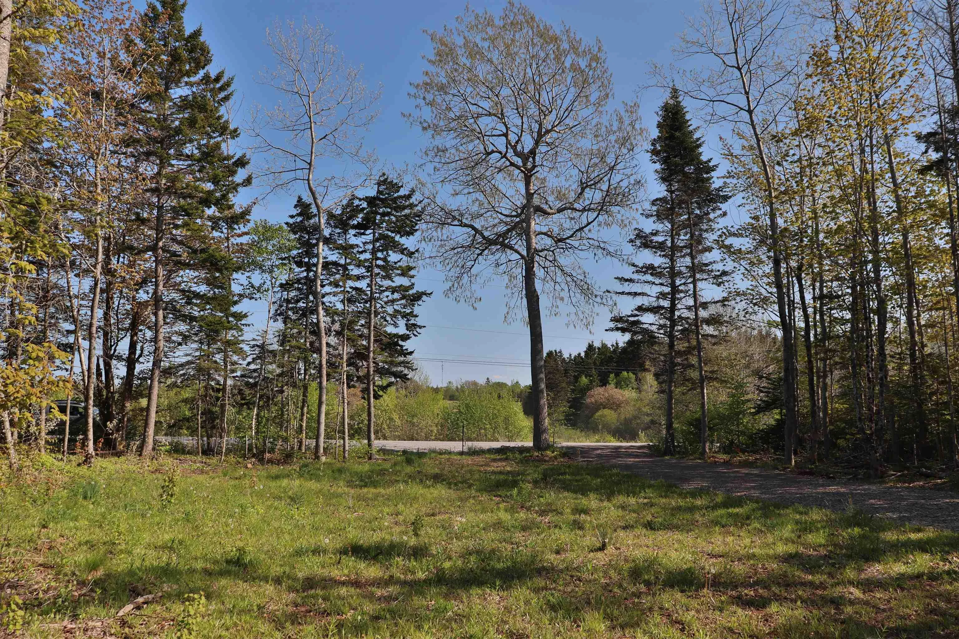 Lot Forest Glade Road, Forest Glade, NS B0S 1N0, ,Land,For Sale,Lot Forest Glade,202512862