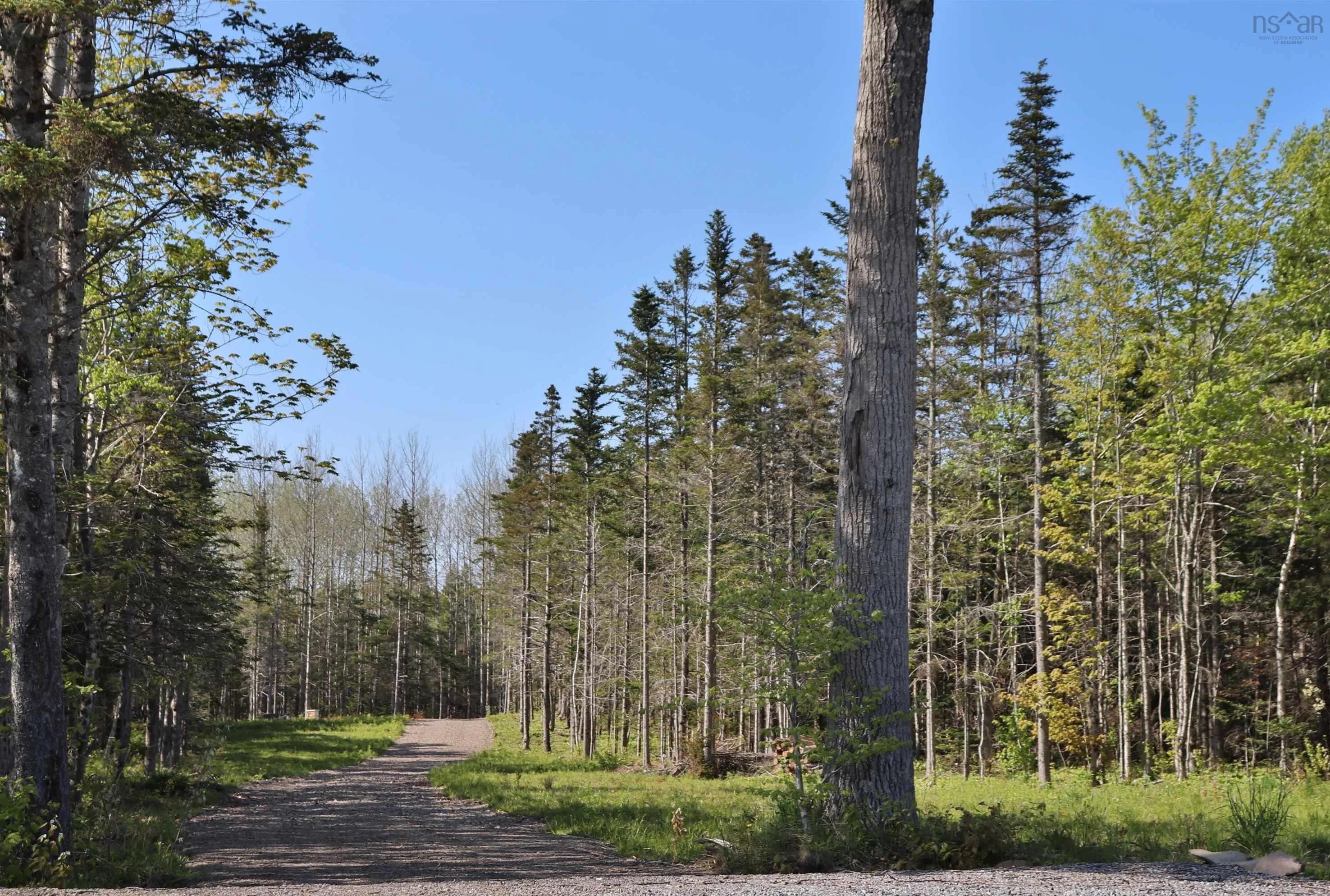 Lot Forest Glade Road, Forest Glade, NS B0S 1N0, ,Land,For Sale,Lot Forest Glade,202512862