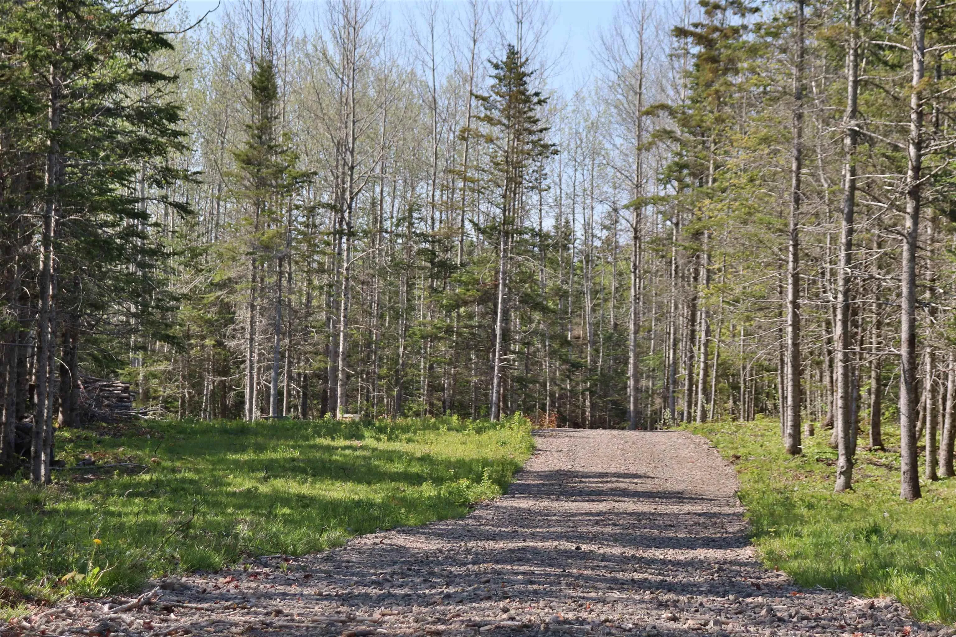 Lot Forest Glade Road, Forest Glade, NS B0S 1N0, ,Land,For Sale,Lot Forest Glade,202512862