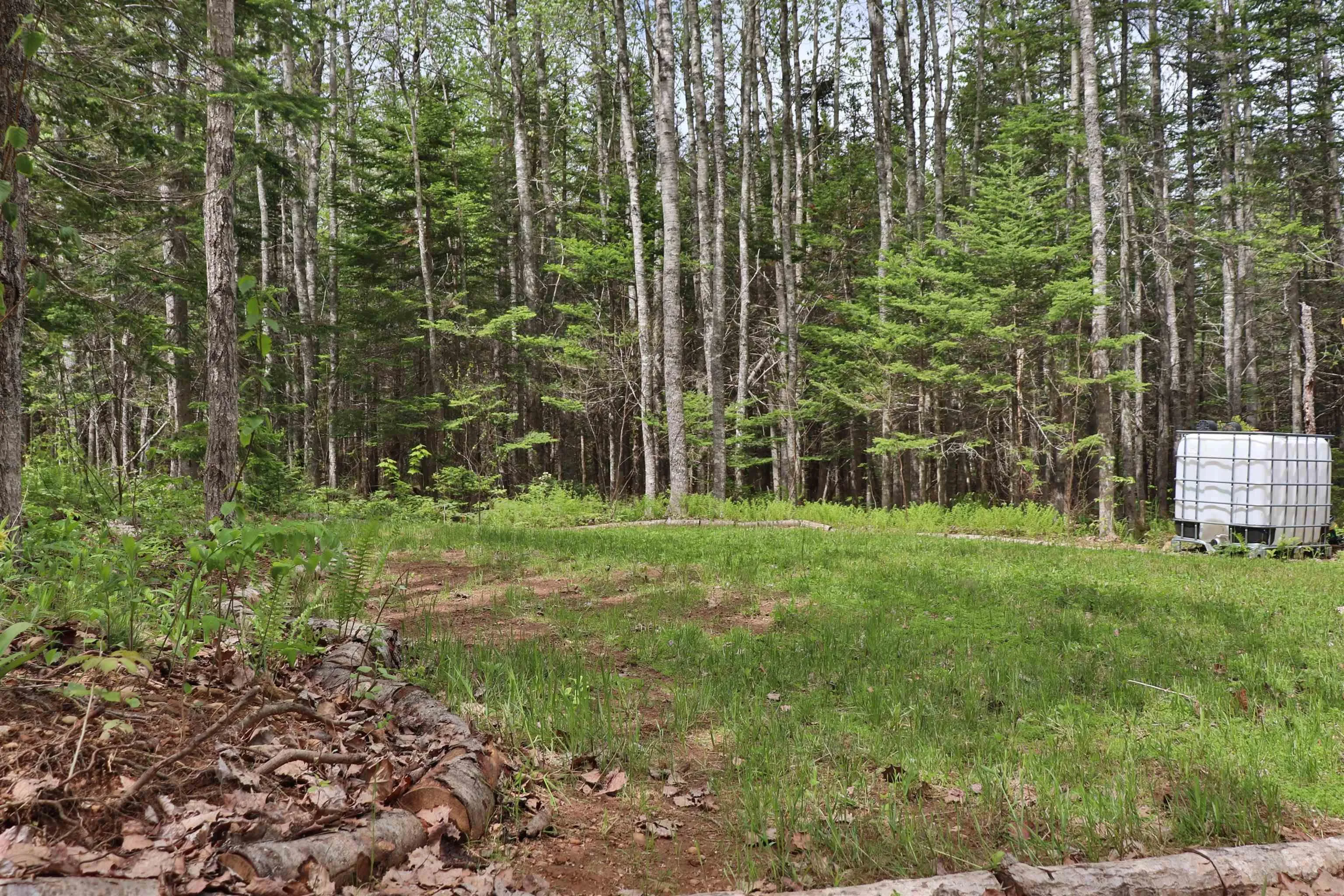 Lot Forest Glade Road, Forest Glade, NS B0S 1N0, ,Land,For Sale,Lot Forest Glade,202512862