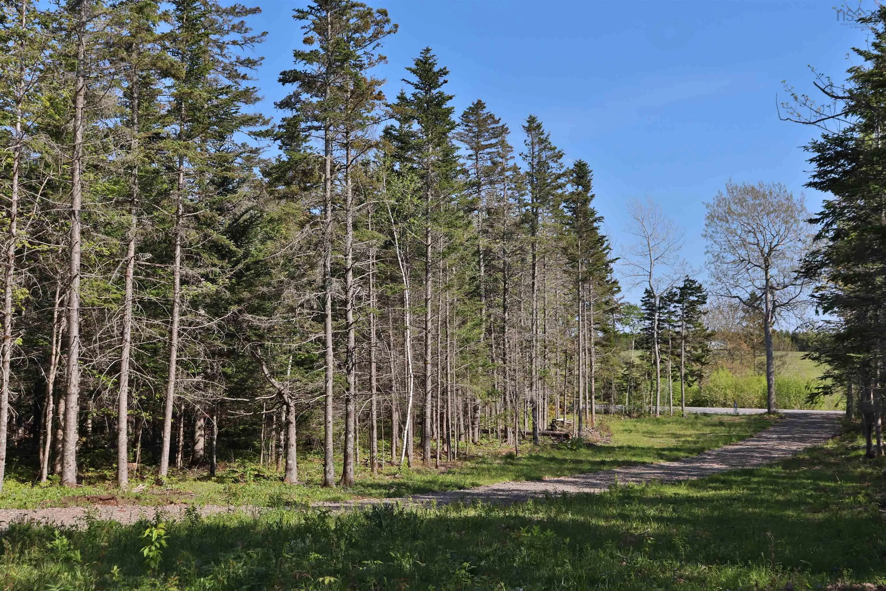 Lot Forest Glade Road, Forest Glade, NS B0S 1N0, ,Land,For Sale,Lot Forest Glade,202512862