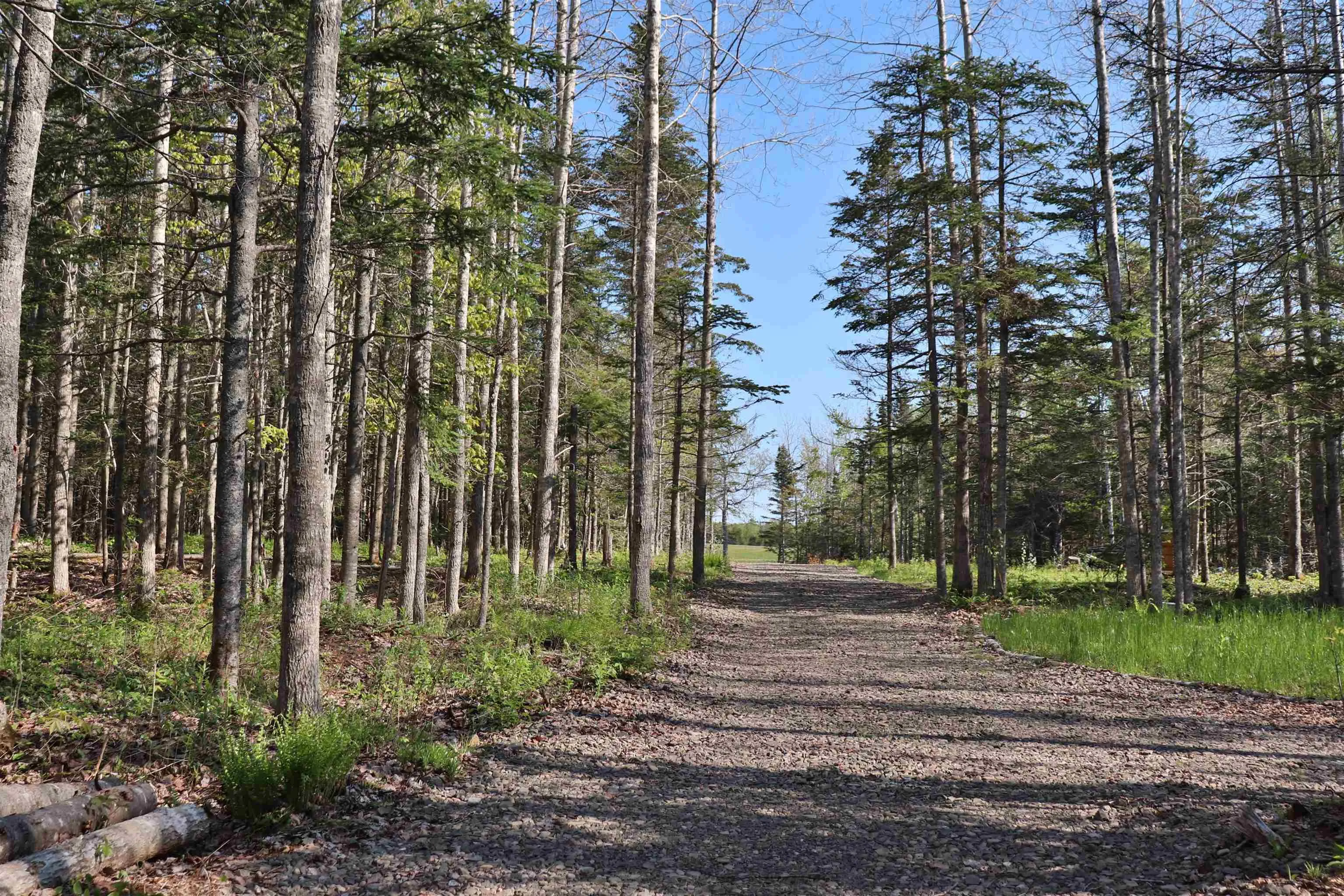 Lot Forest Glade Road, Forest Glade, NS B0S 1N0, ,Land,For Sale,Lot Forest Glade,202512862