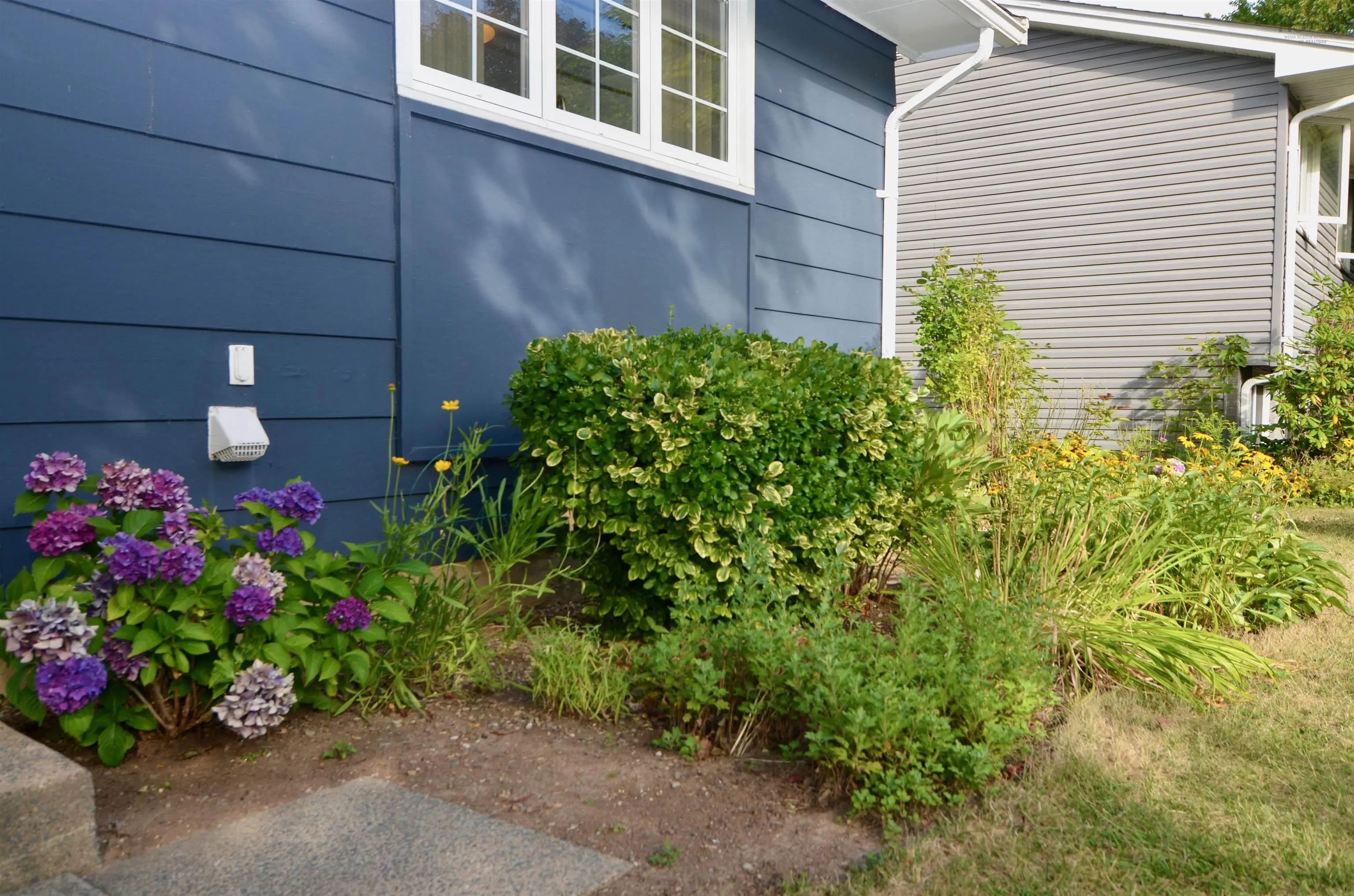 32 Tremont Street, Dartmouth, NS B2Y 1X2, 4 Bedrooms Bedrooms, ,2 BathroomsBathrooms,Residential,For Sale,Tremont,202521465