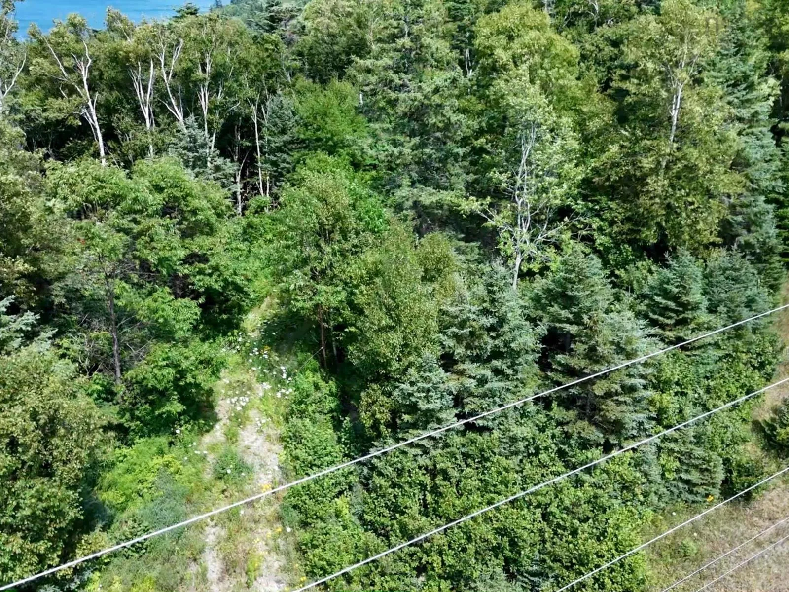 Lakeshore Drive W Lot 7, Irish Cove, NS B0E 3B0, ,Land,For Sale,Lakeshore,202519459