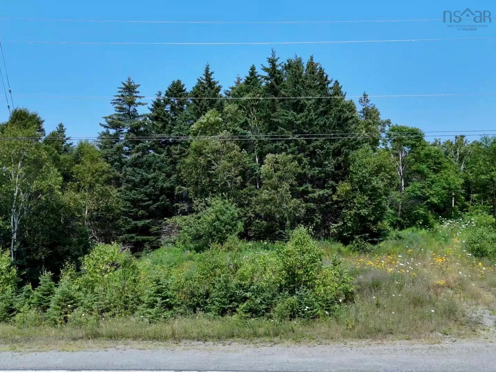 Lakeshore Drive W Lot 7, Irish Cove, NS B0E 3B0, ,Land,For Sale,Lakeshore,202519459