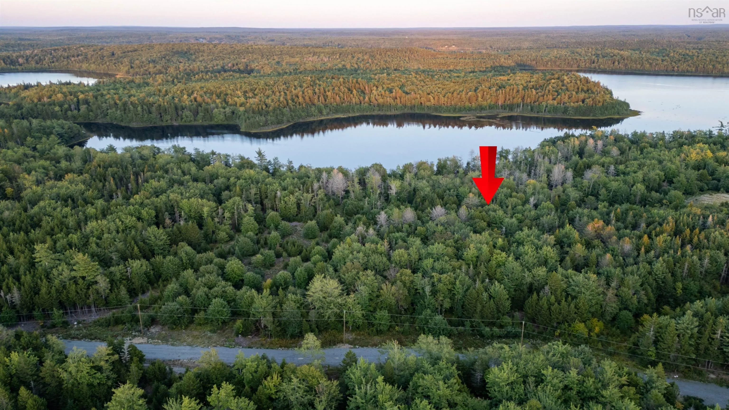 Lot 8 R & N Road, Carleton Ns B5a 5r2, ,Land,For Sale,R & N,202426882