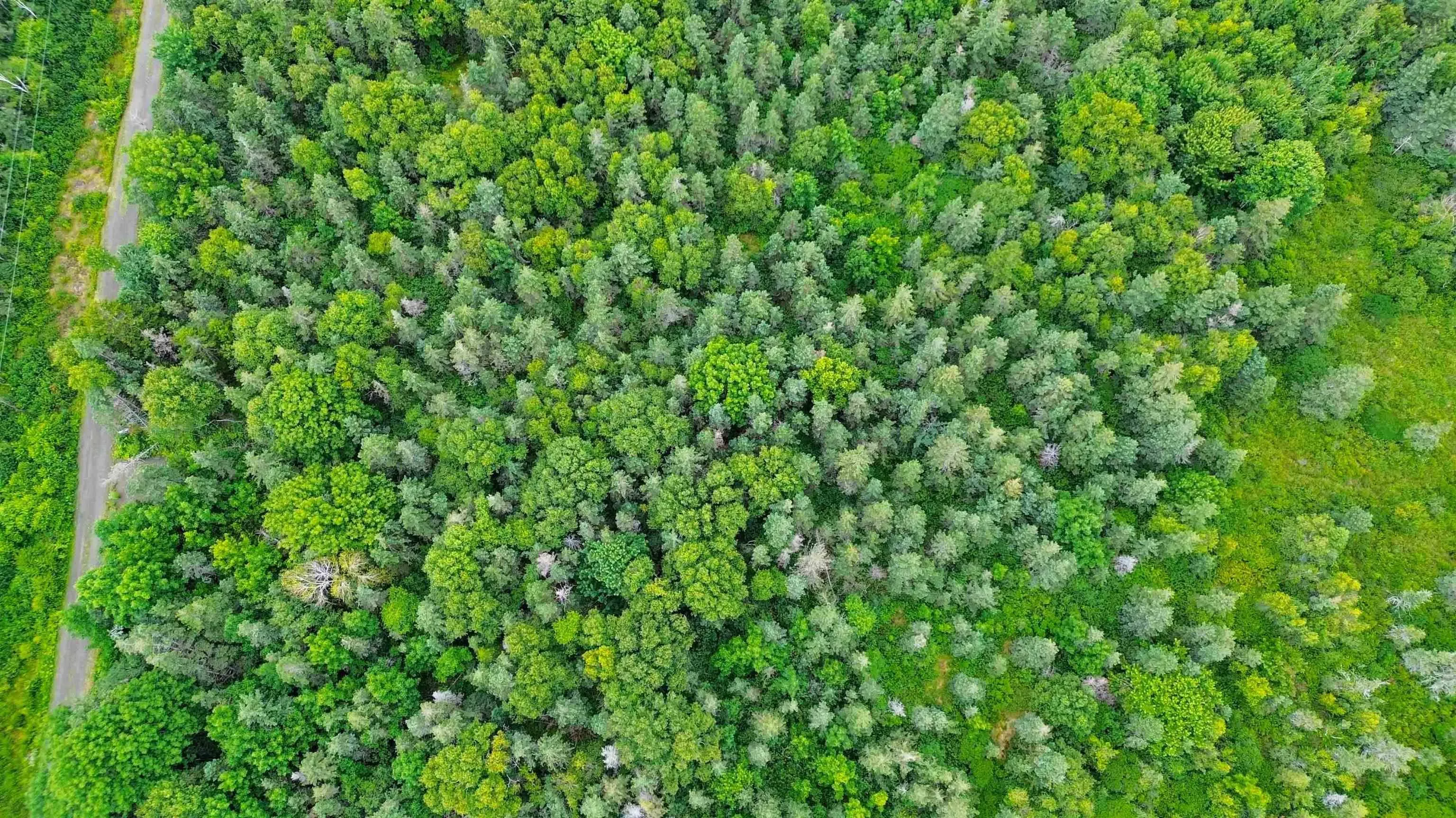 Hampton Mountain Road Lot 3, Hampton Ns B0s 1l0, ,Land,For Sale,Hampton Mountain,202403731