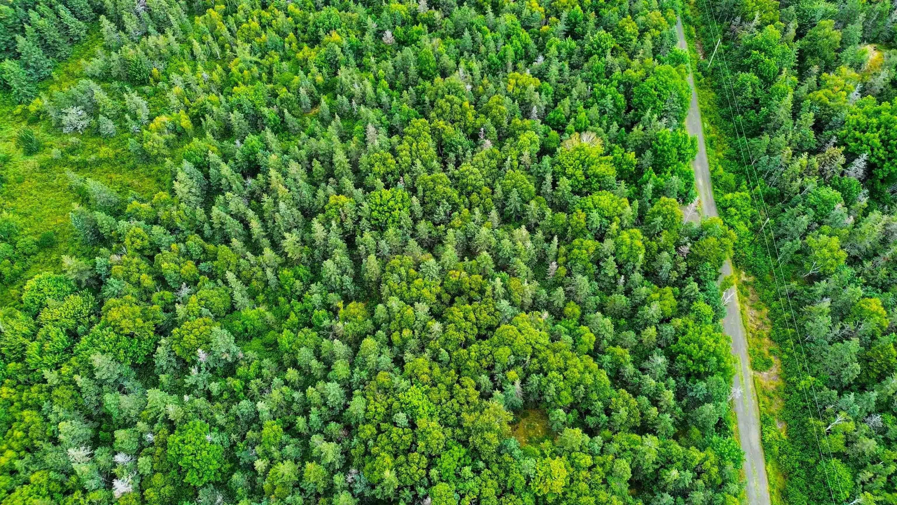 Hampton Mountain Road Lot 3, Hampton Ns B0s 1l0, ,Land,For Sale,Hampton Mountain,202403731