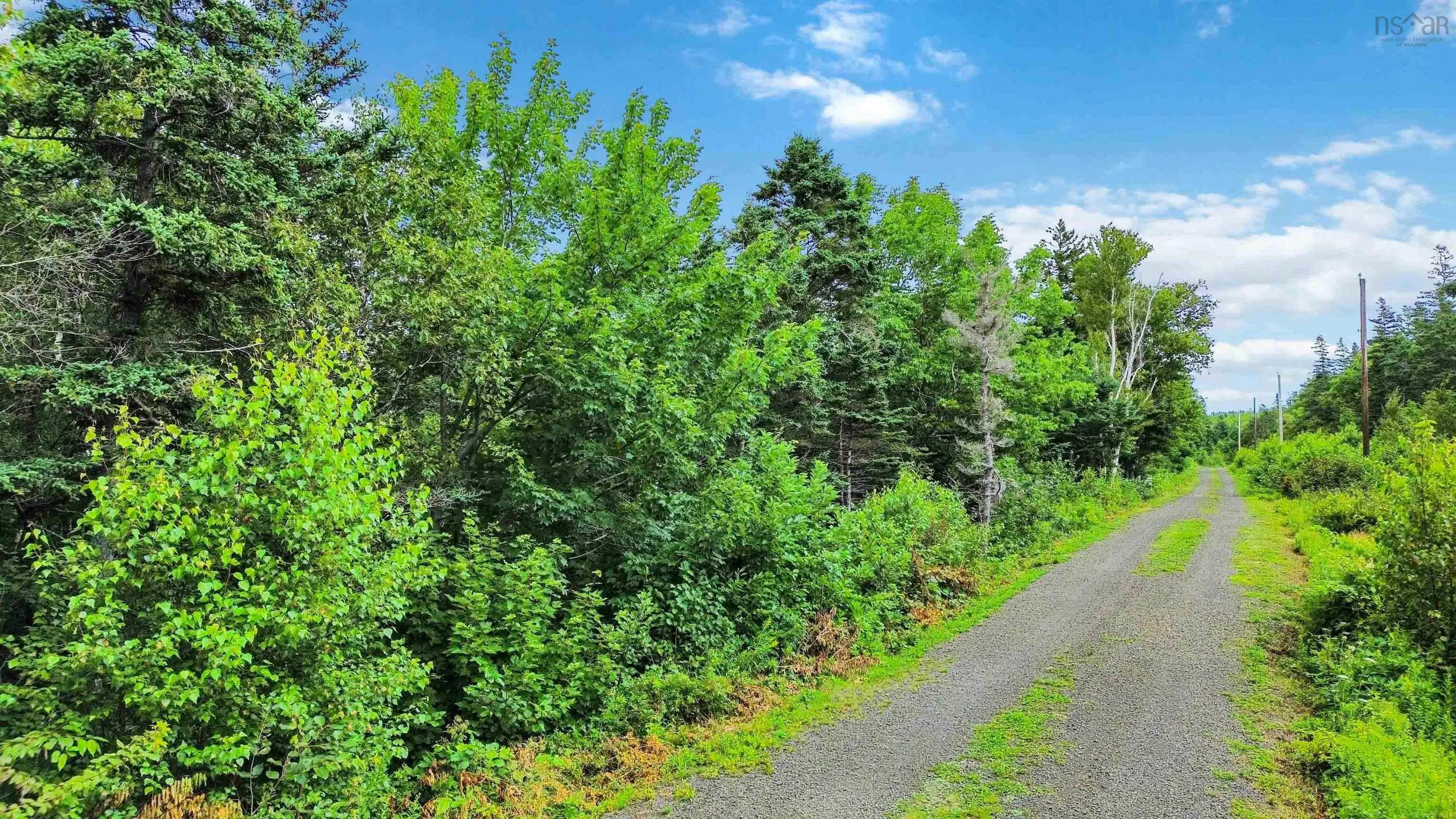 Hampton Mountain Road Lot 3, Hampton Ns B0s 1l0, ,Land,For Sale,Hampton Mountain,202403731
