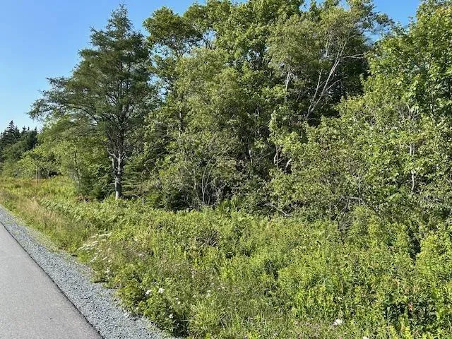 Shore Road Lot 4, Western Head, NS B0T 1K0, ,Land,For Sale,Shore,202518033