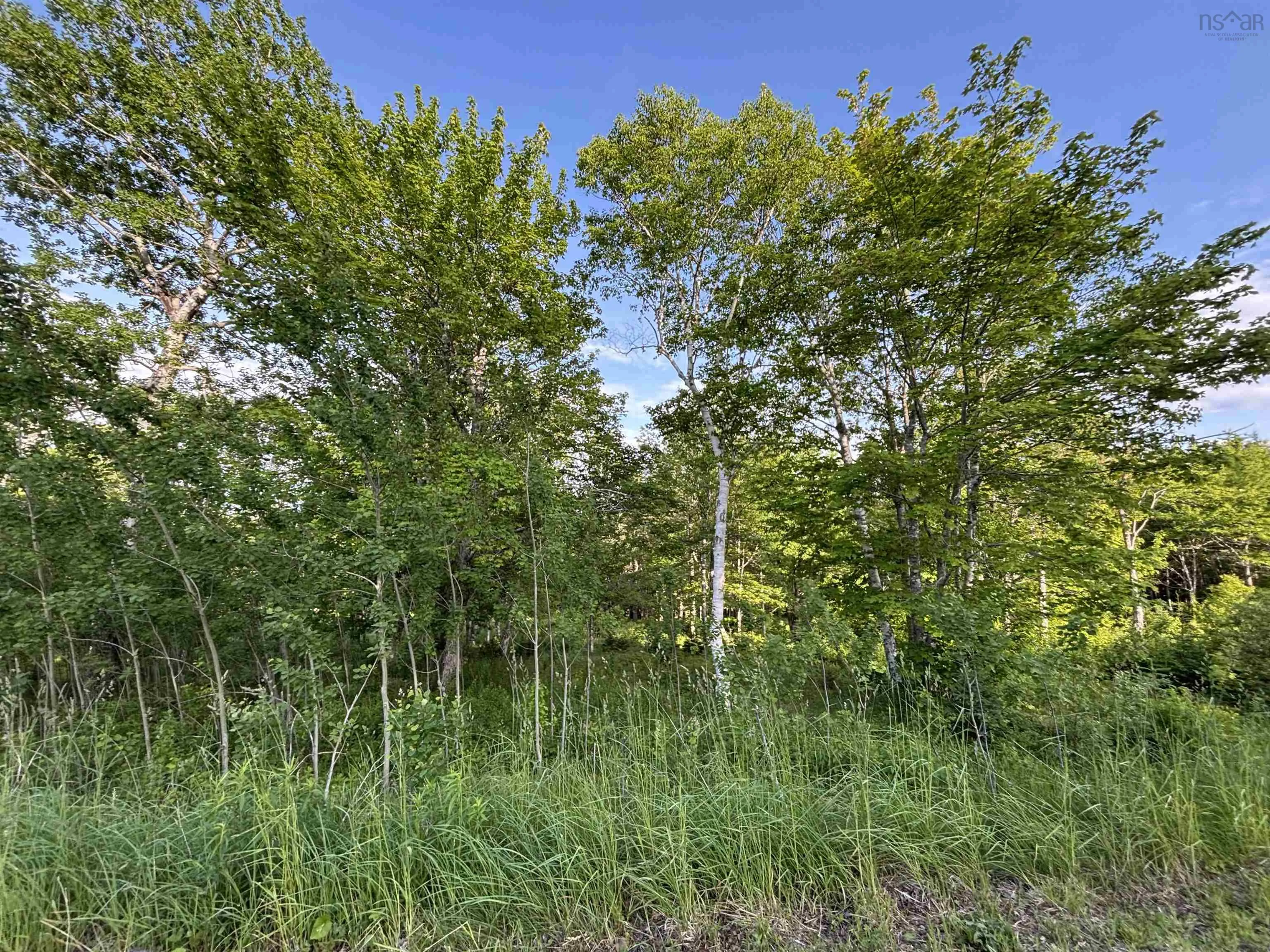 Parkland Place, Dalem Lake, NS B1Y 2X9, ,Land,For Sale,Parkland,202520775