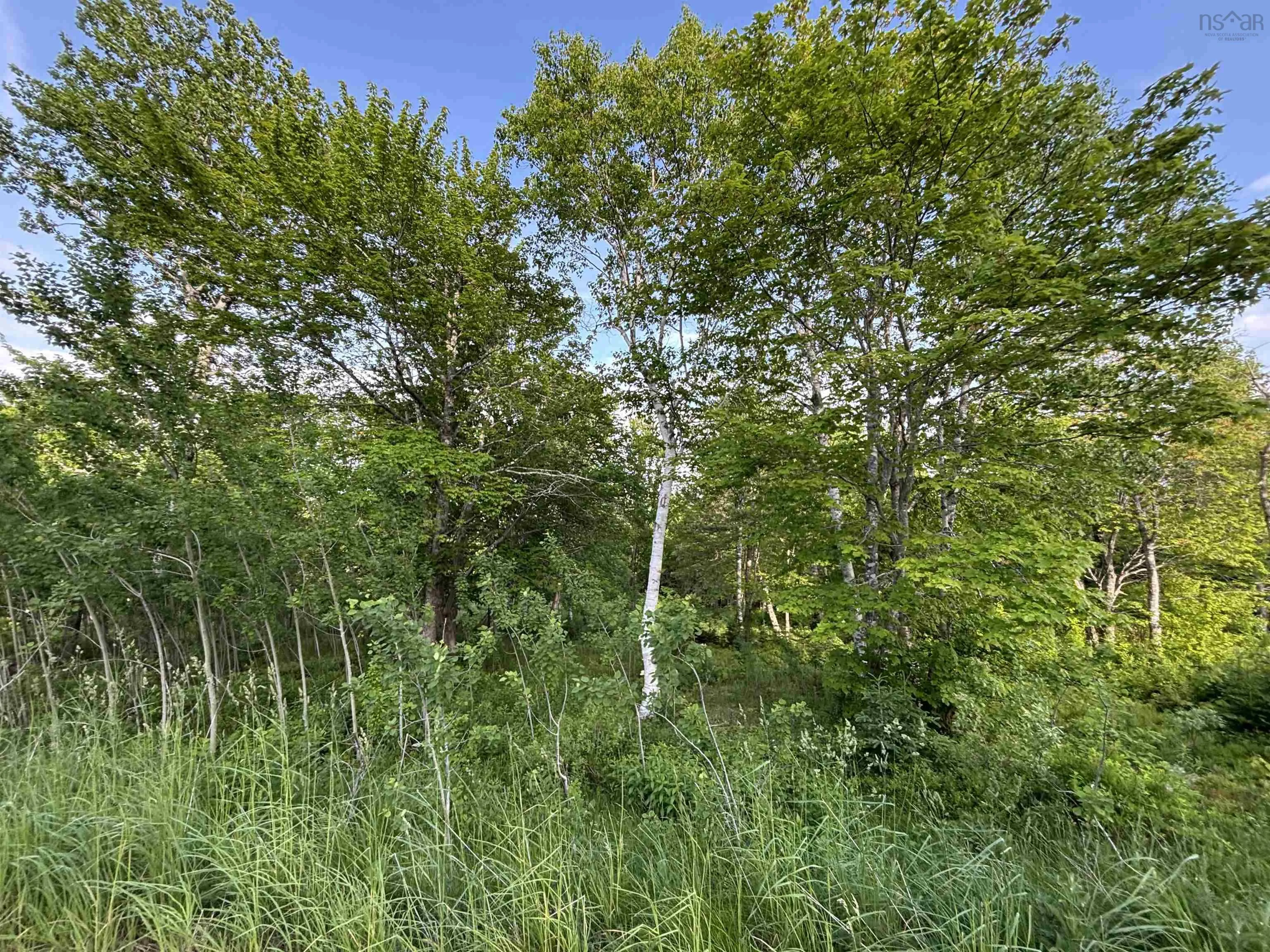 Parkland Place, Dalem Lake, NS B1Y 2X9, ,Land,For Sale,Parkland,202520775
