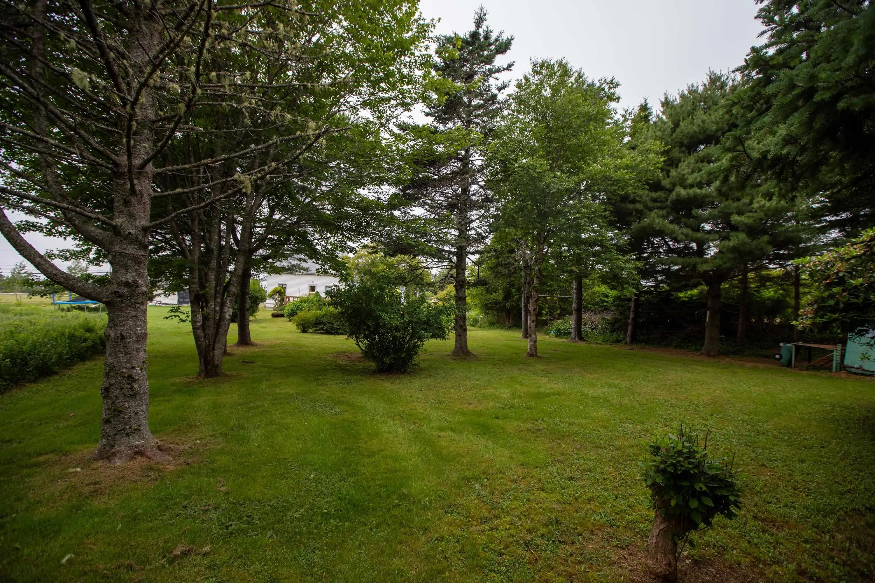 399 East Chezzetcook Road, East Chezzetcook, NS B0J 2L0, 3 Bedrooms Bedrooms, ,1 BathroomBathrooms,Residential,For Sale,East Chezzetcook,202517619